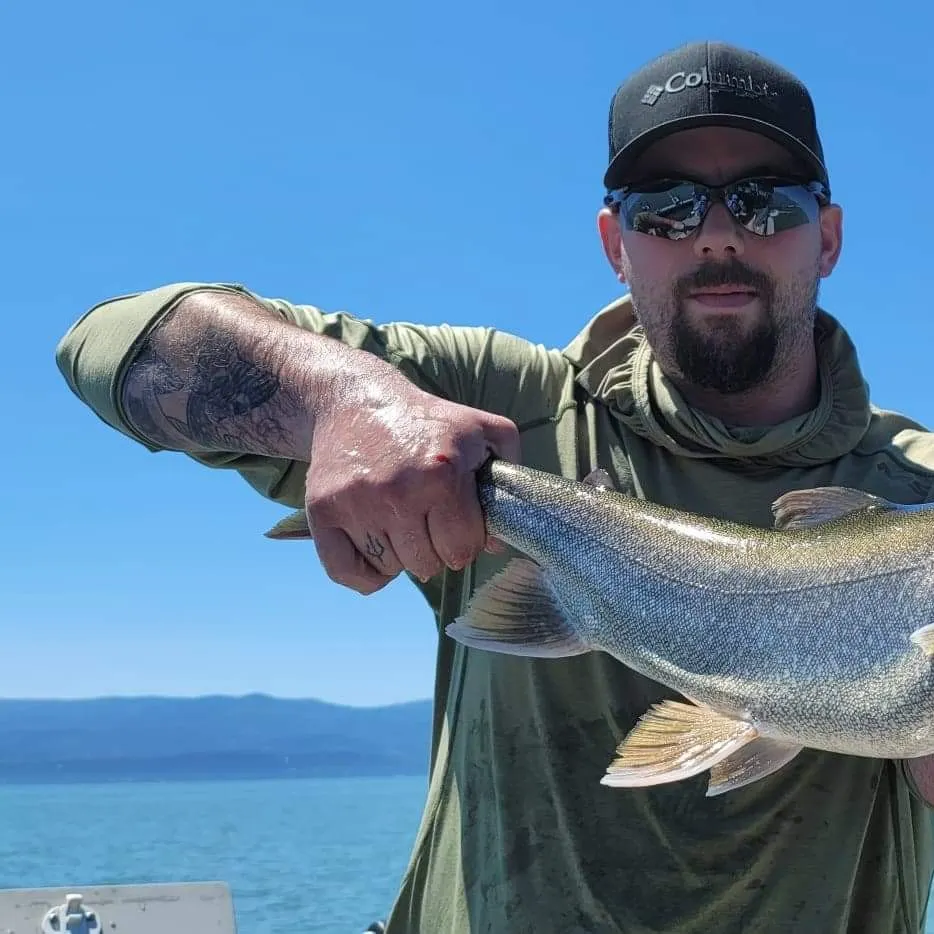 angler catch