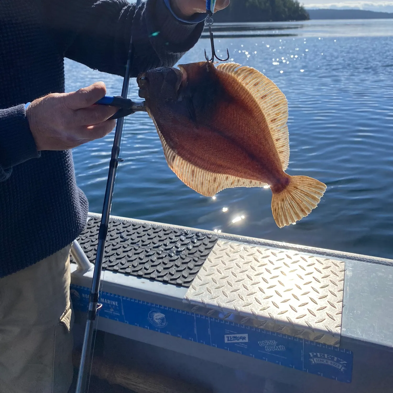 The most recent Northern rock sole catches on Fishbrain