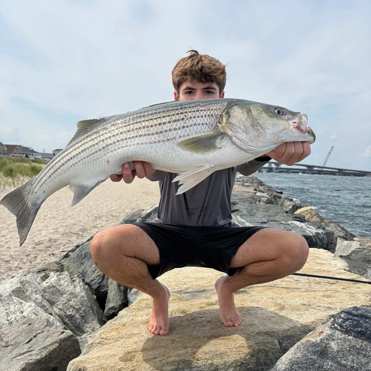 Striped bass caught on Fishbrain