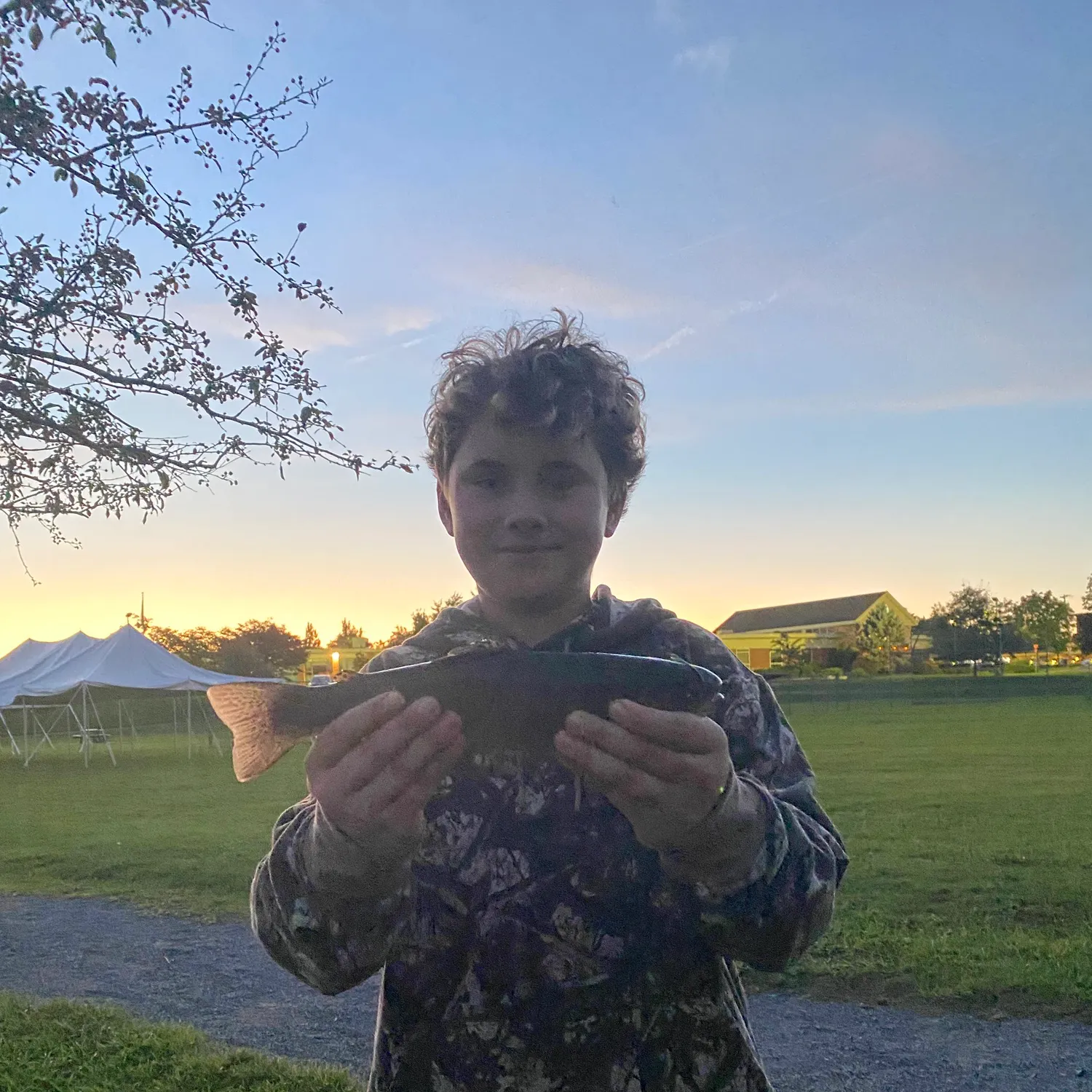 Fish caught on Fishbrain