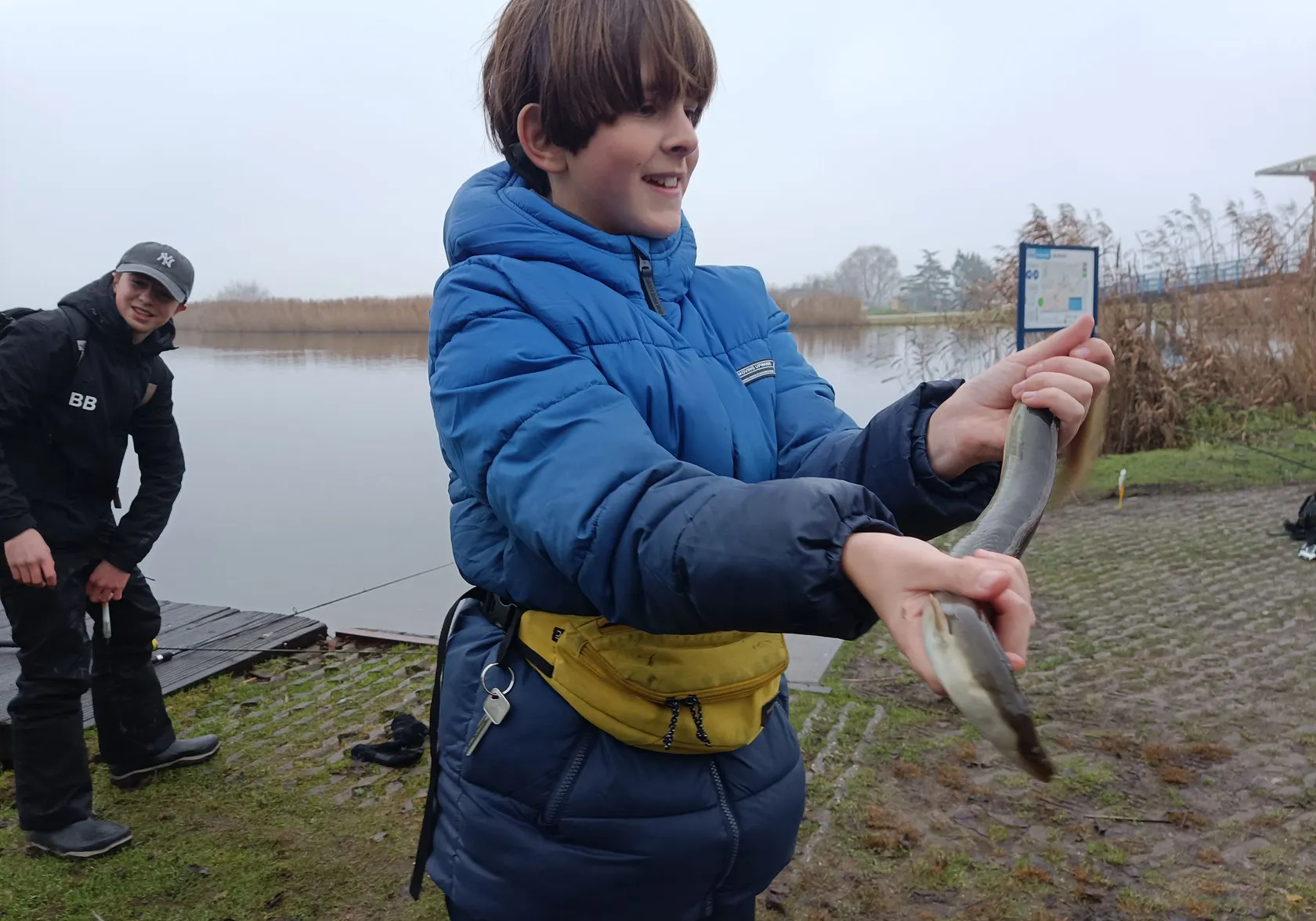 European eel