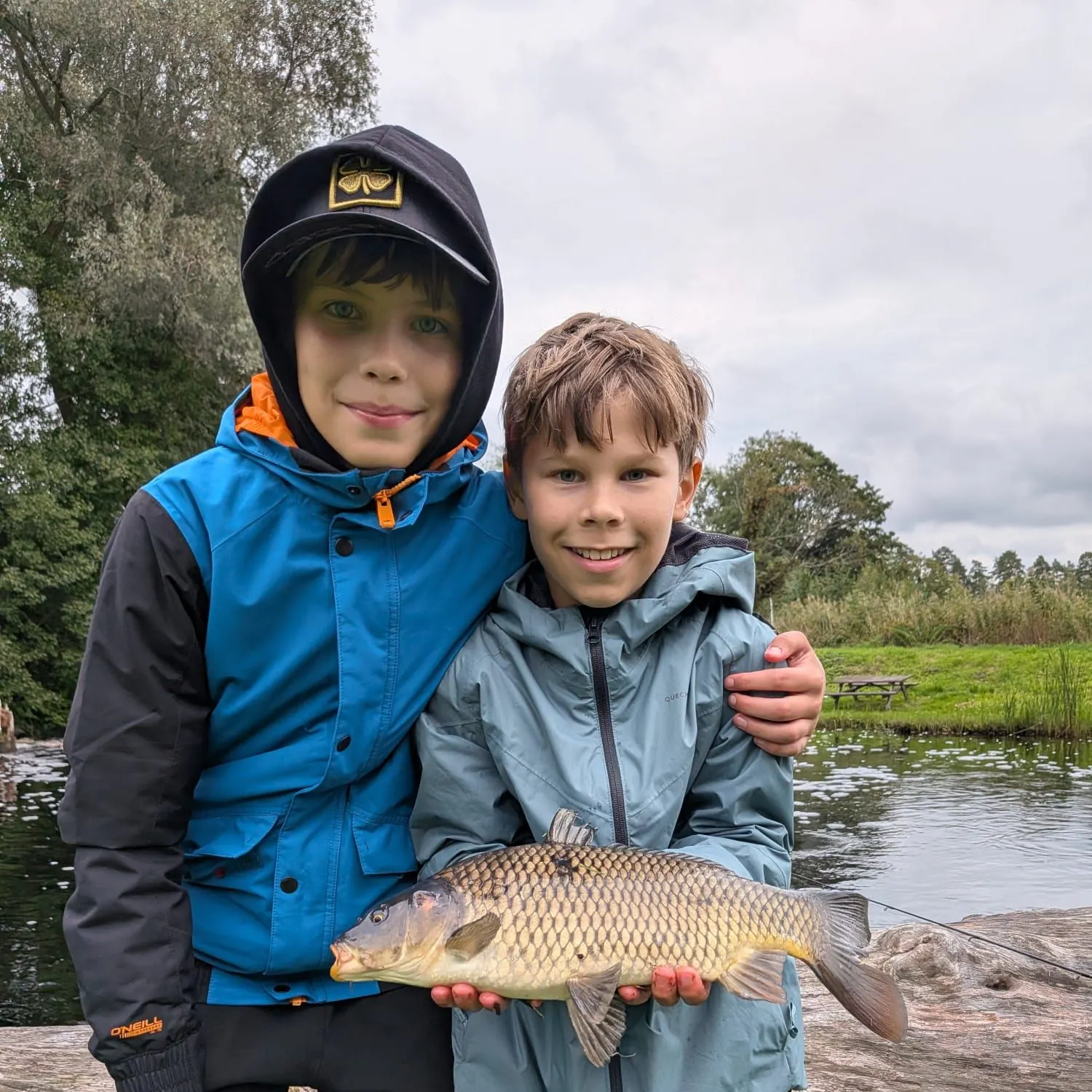 Common carp caught on Fishbrain