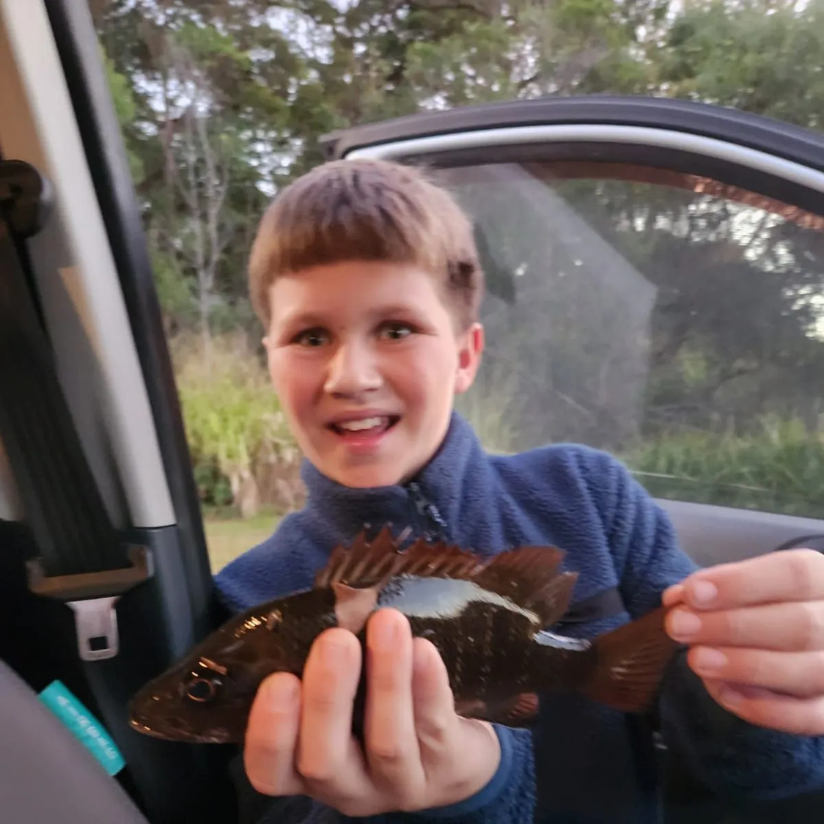 Surf bream caught on Fishbrain