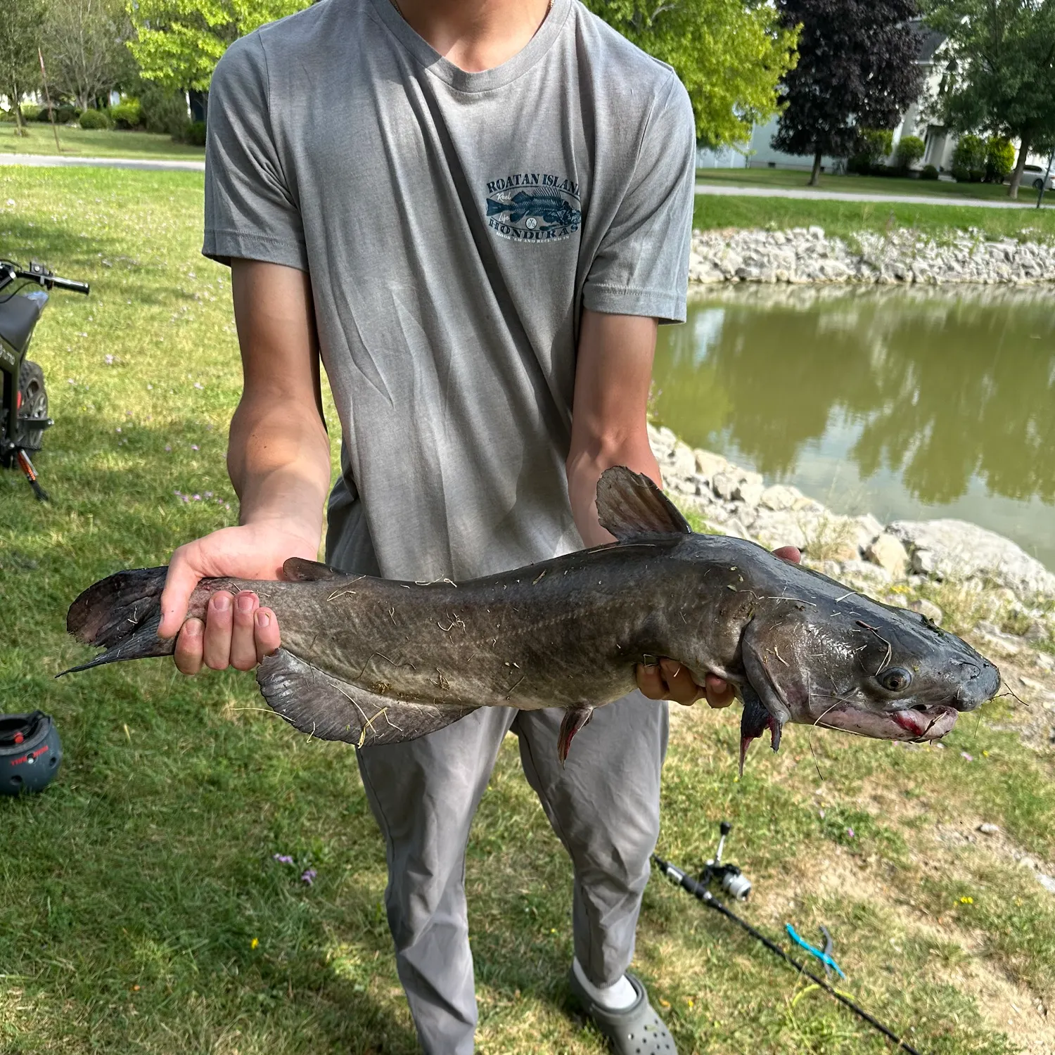 White bullhead caught on Fishbrain