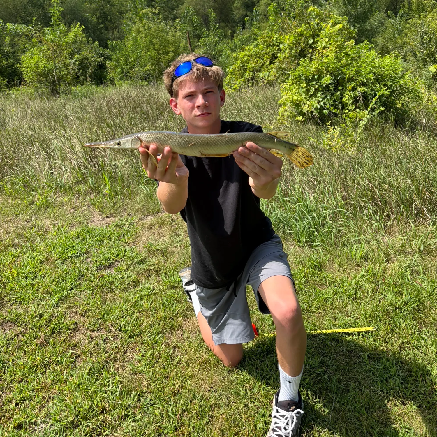 The most recent Shortnose gar catches on Fishbrain