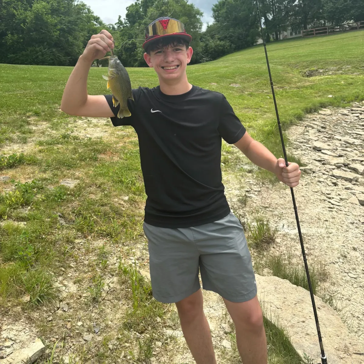 The most recent Green sunfish catches on Fishbrain