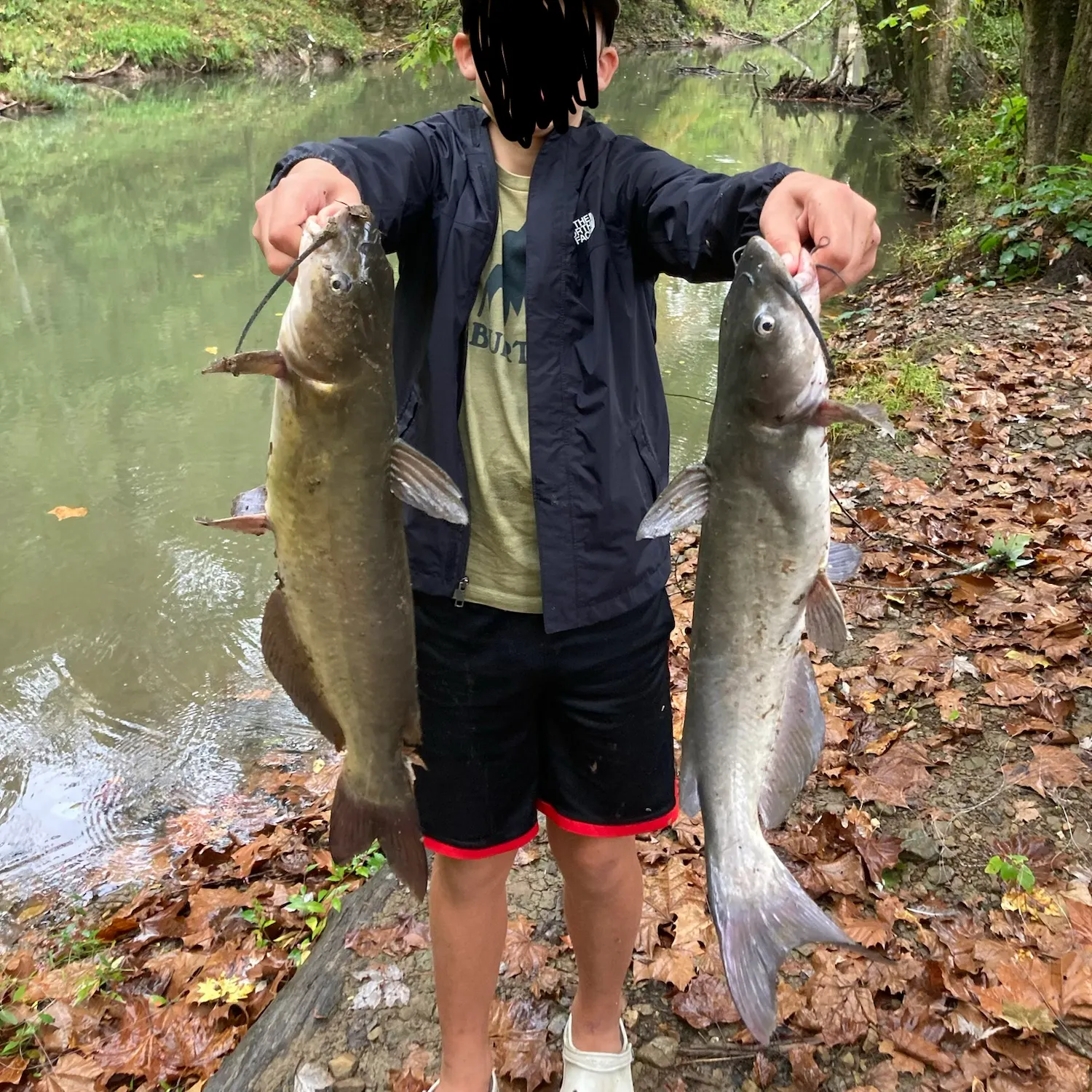 Channel catfish caught on Fishbrain
