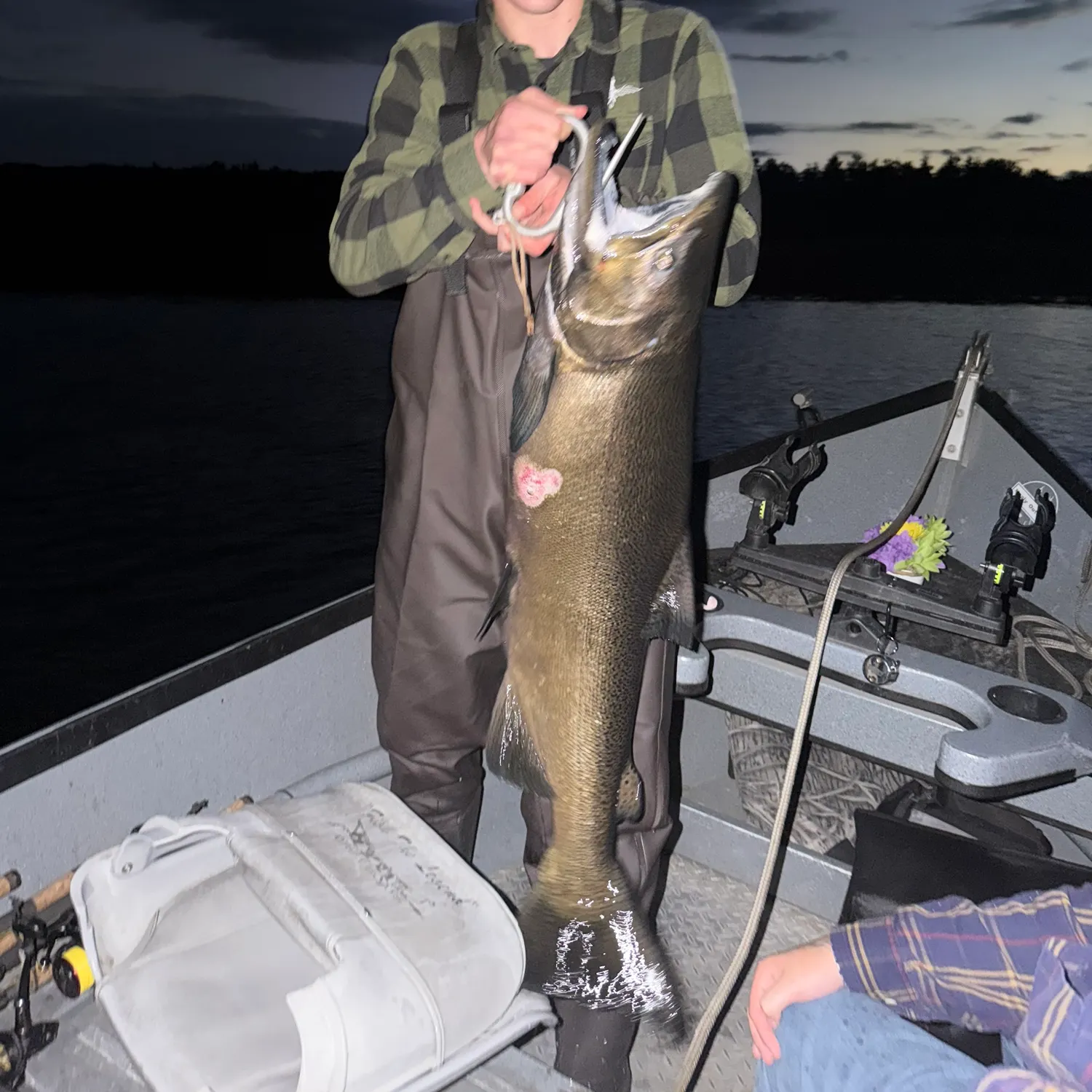 Chinook salmon caught on Fishbrain