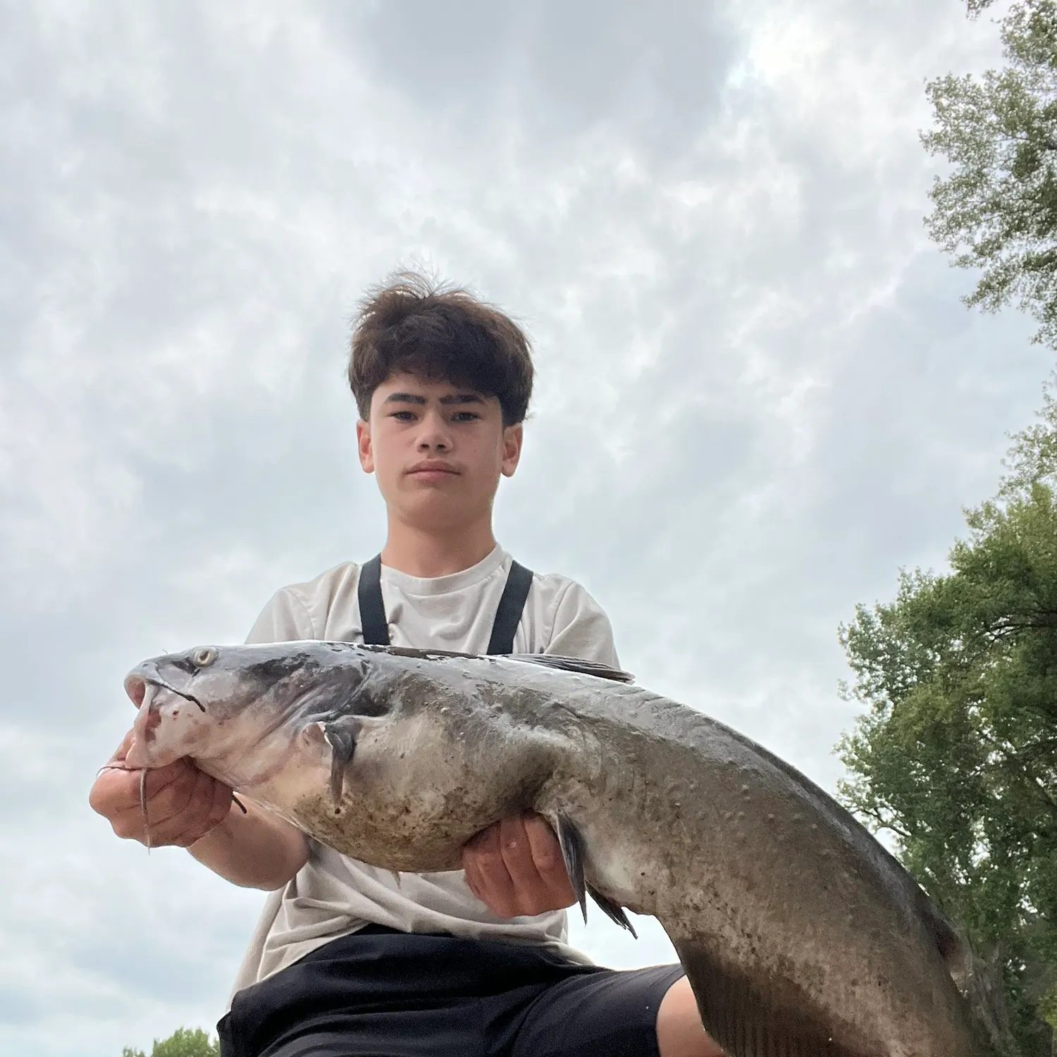 Channel catfish caught on Fishbrain