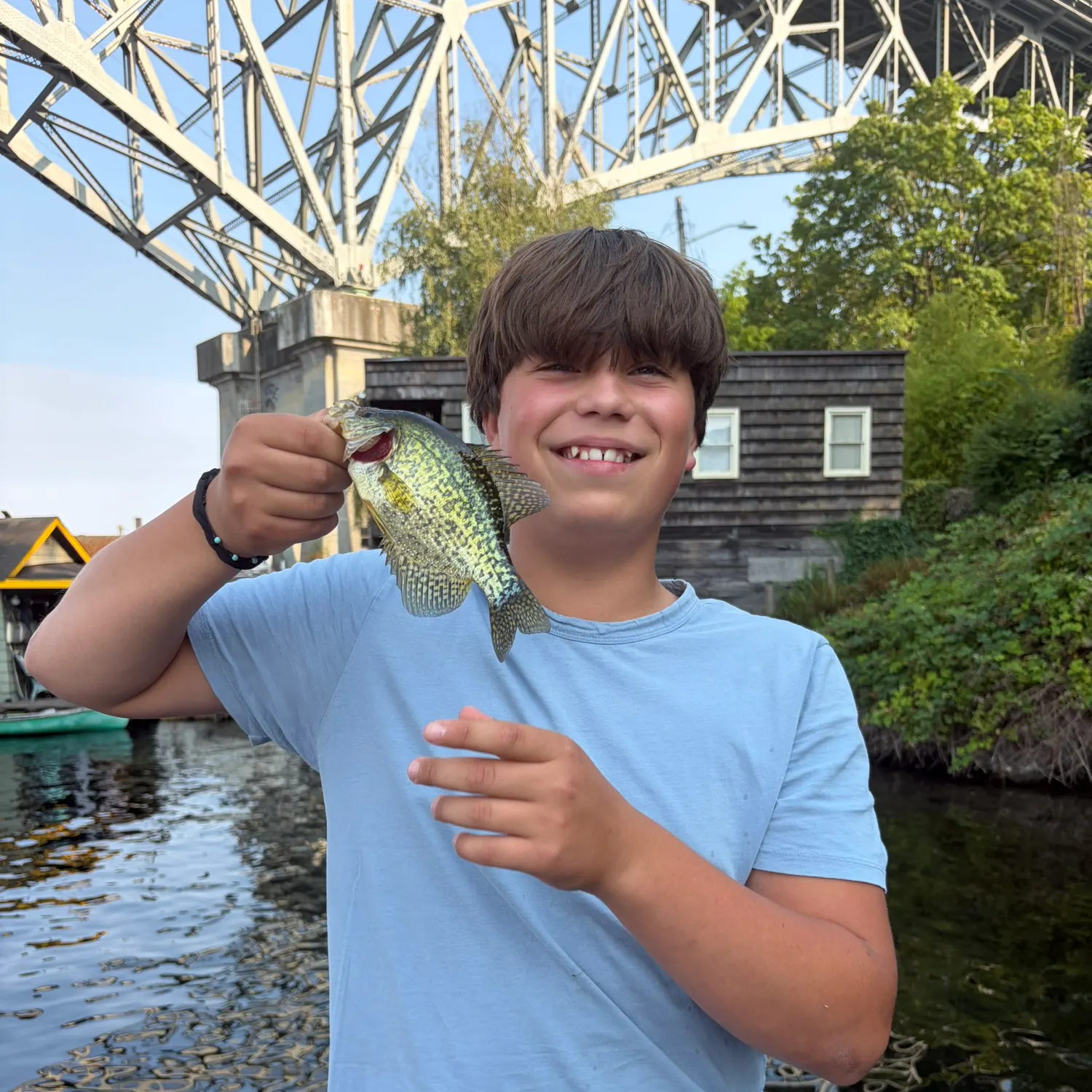 Black crappie caught on Fishbrain