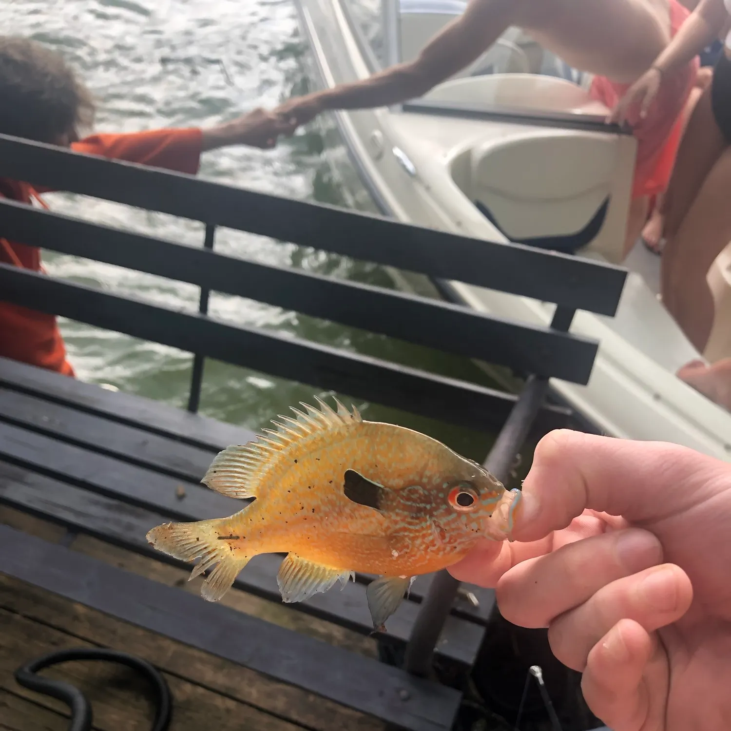 catch
