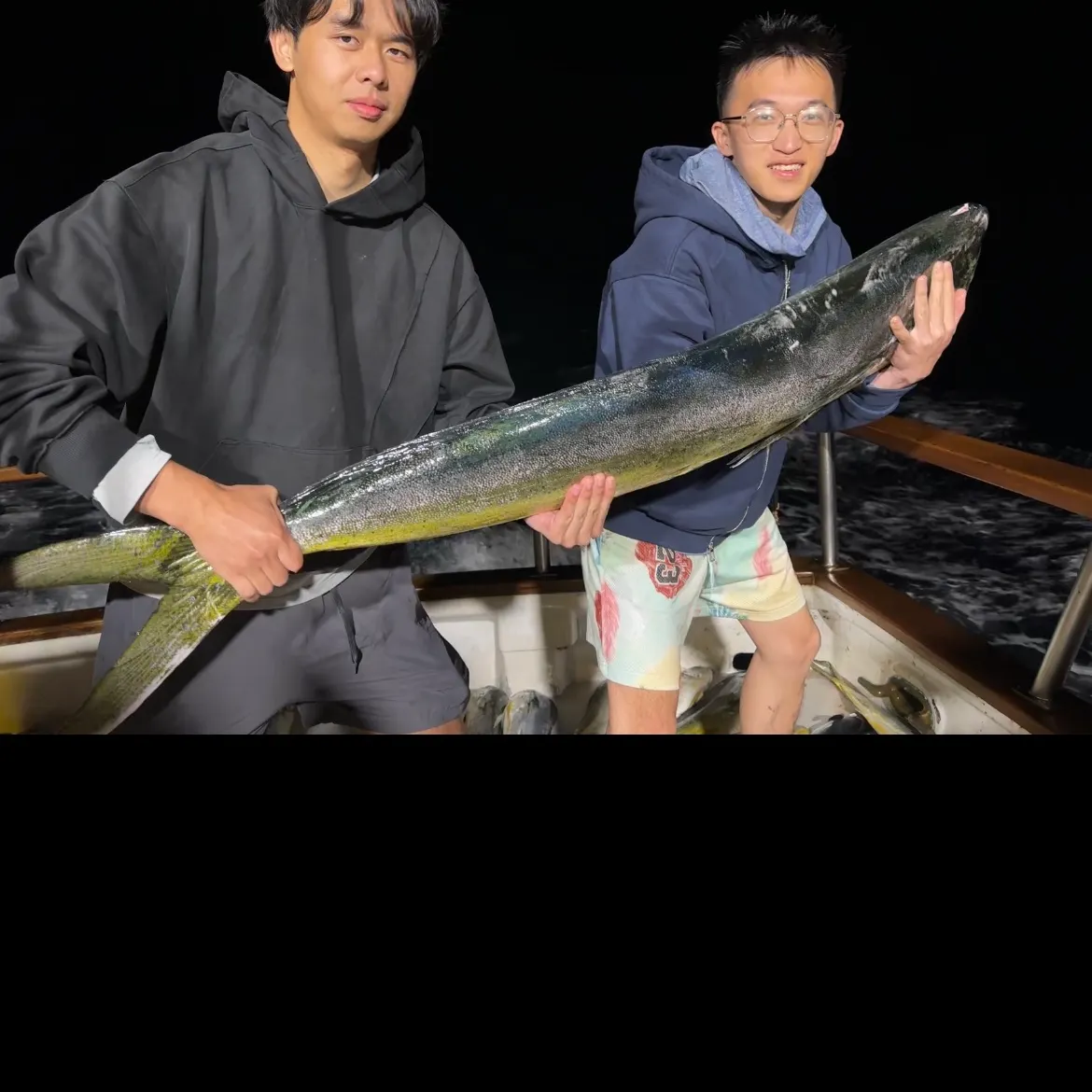 Common dolphinfish caught on Fishbrain