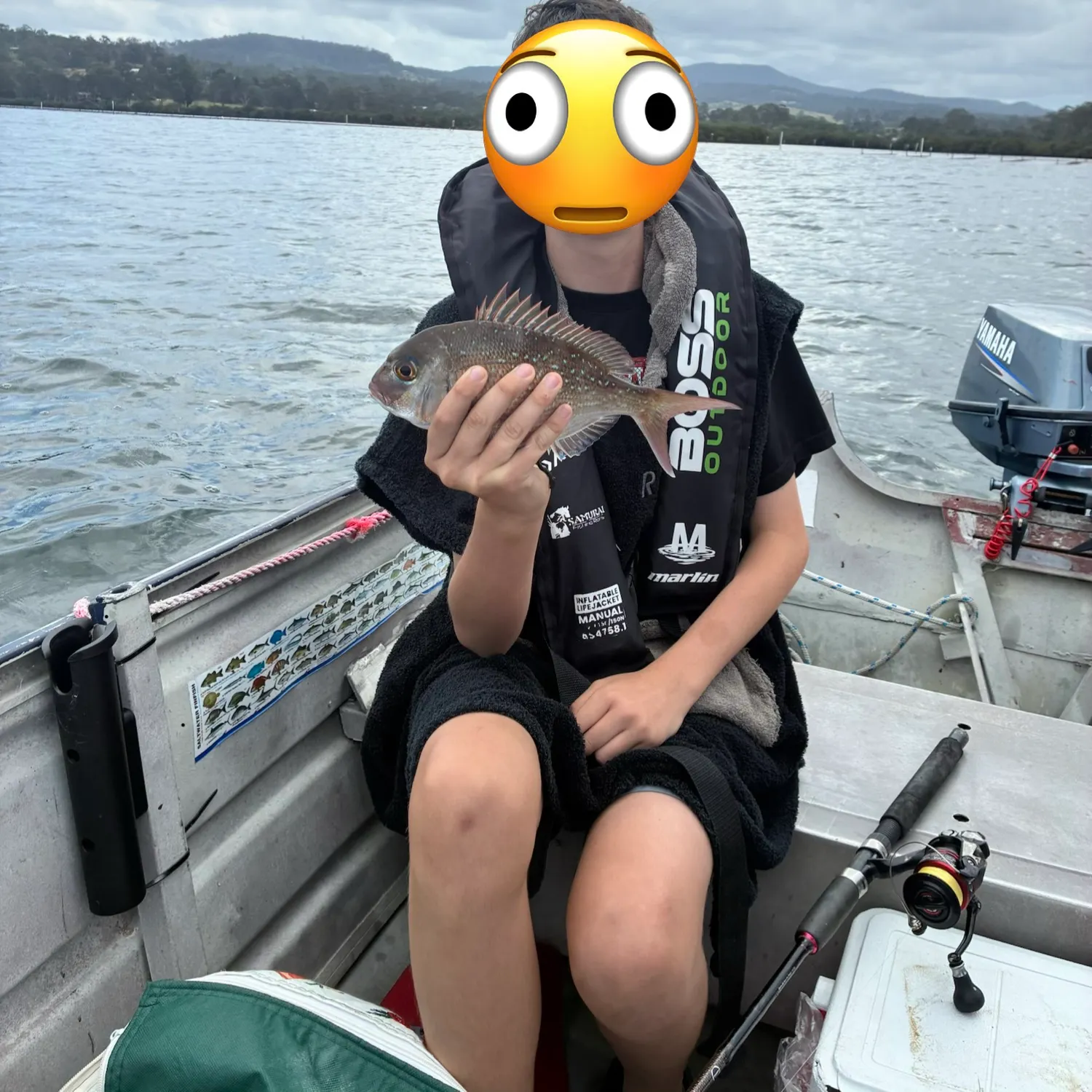 Australasian snapper caught on Fishbrain