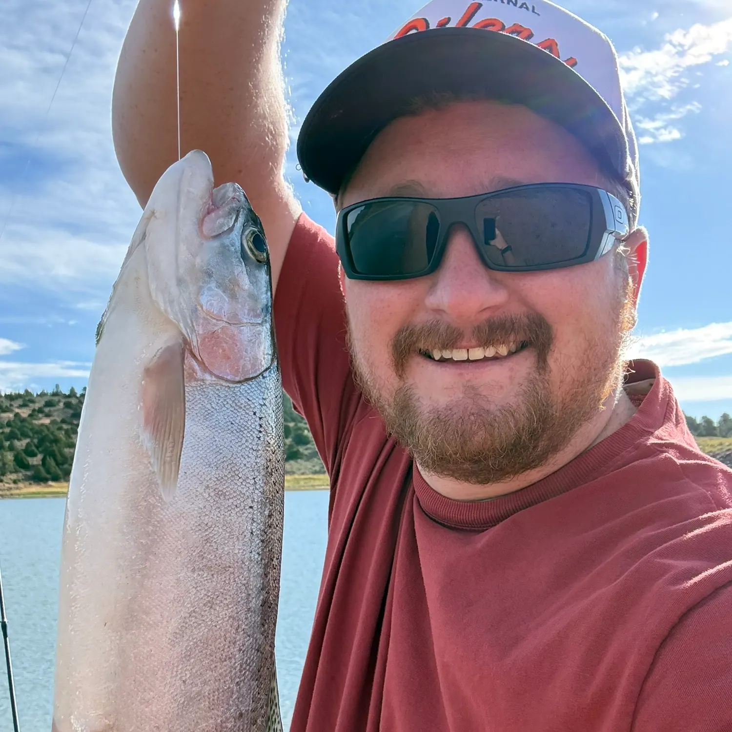 Rainbow trout caught on Fishbrain
