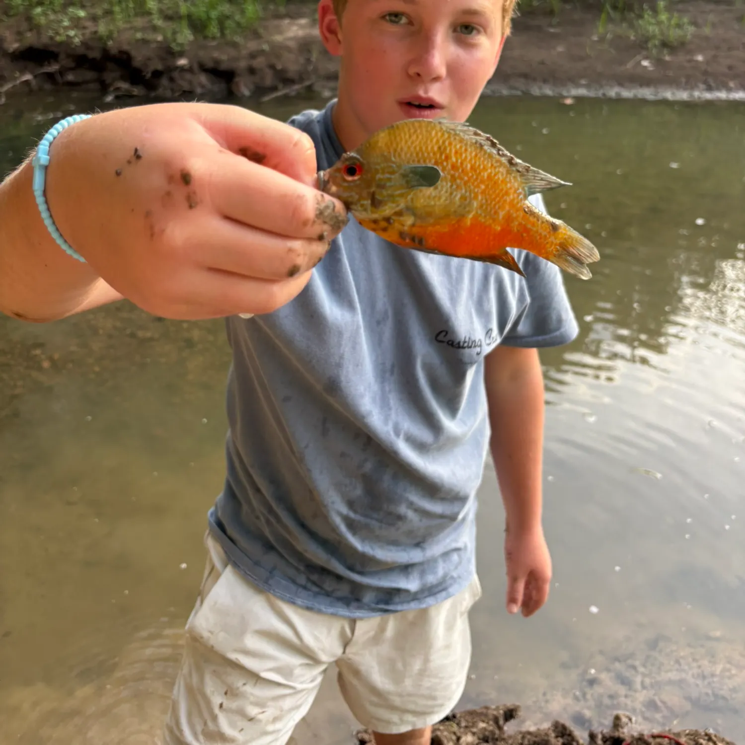 Longear sunfish caught on Fishbrain