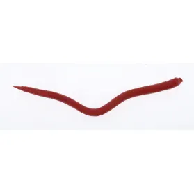 Extruded Bloodworm