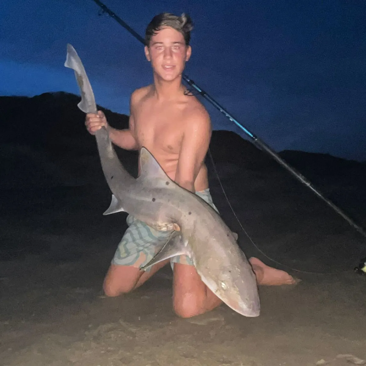 The most recent Sharptooth houndshark catches on Fishbrain