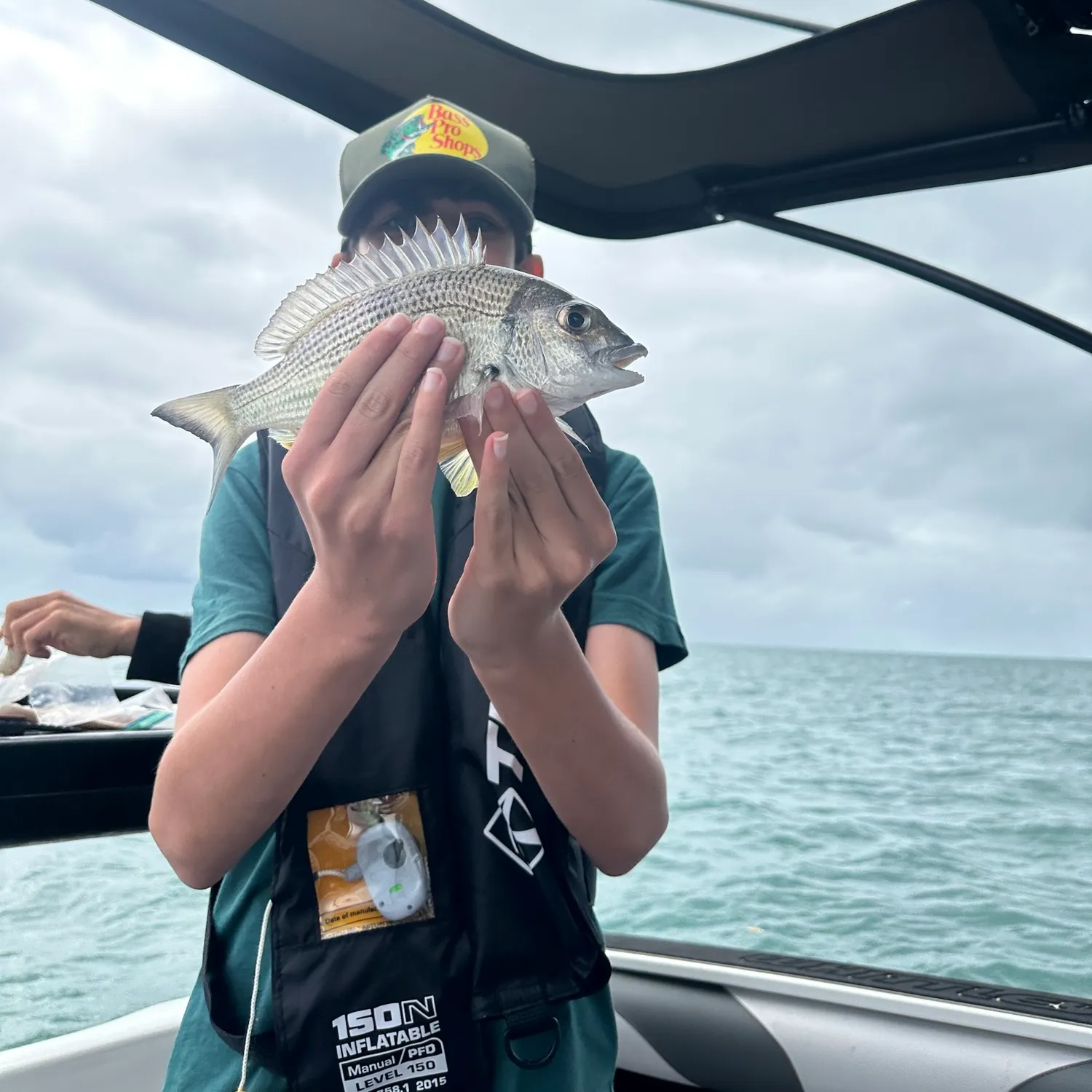 Surf bream caught on Fishbrain