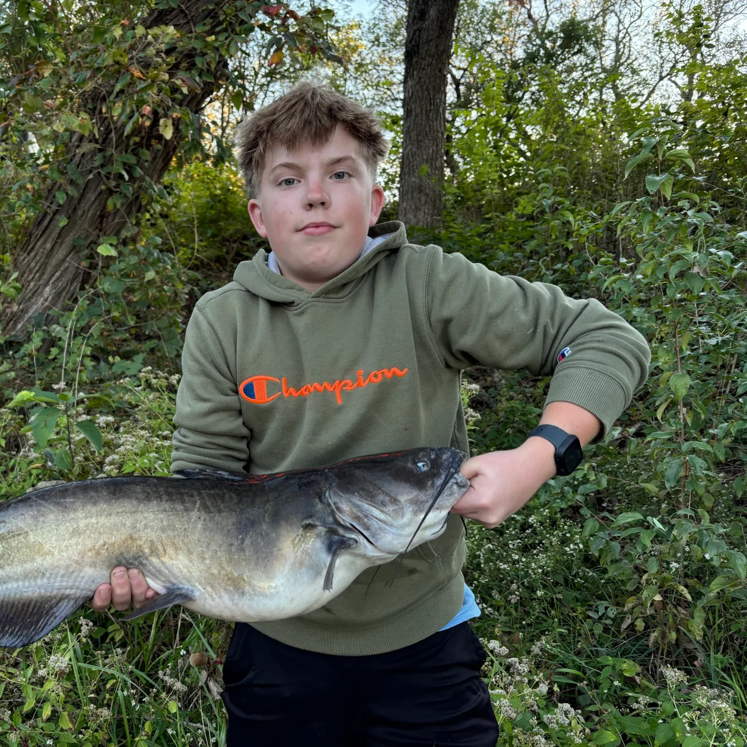 Channel catfish caught on Fishbrain