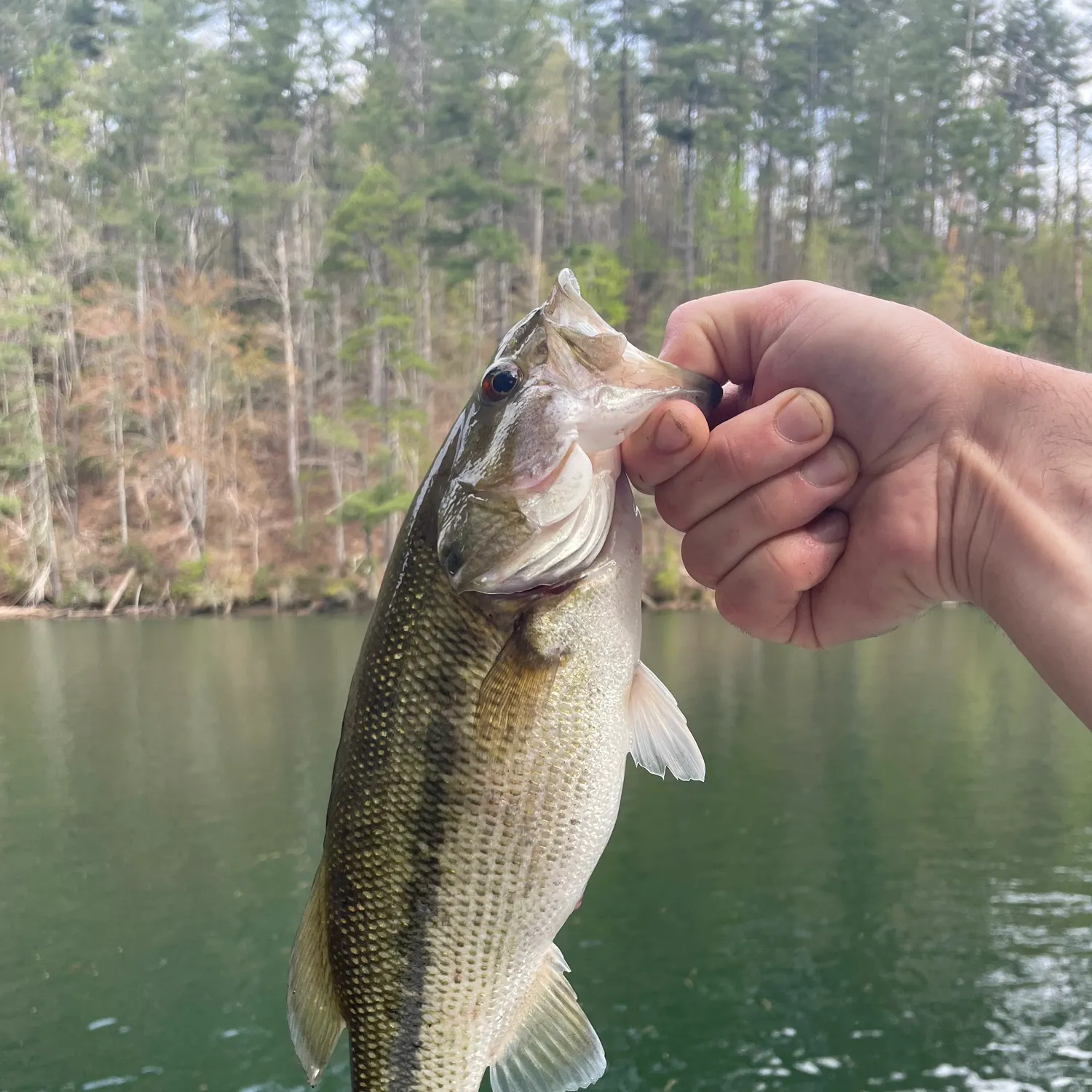 angler catch