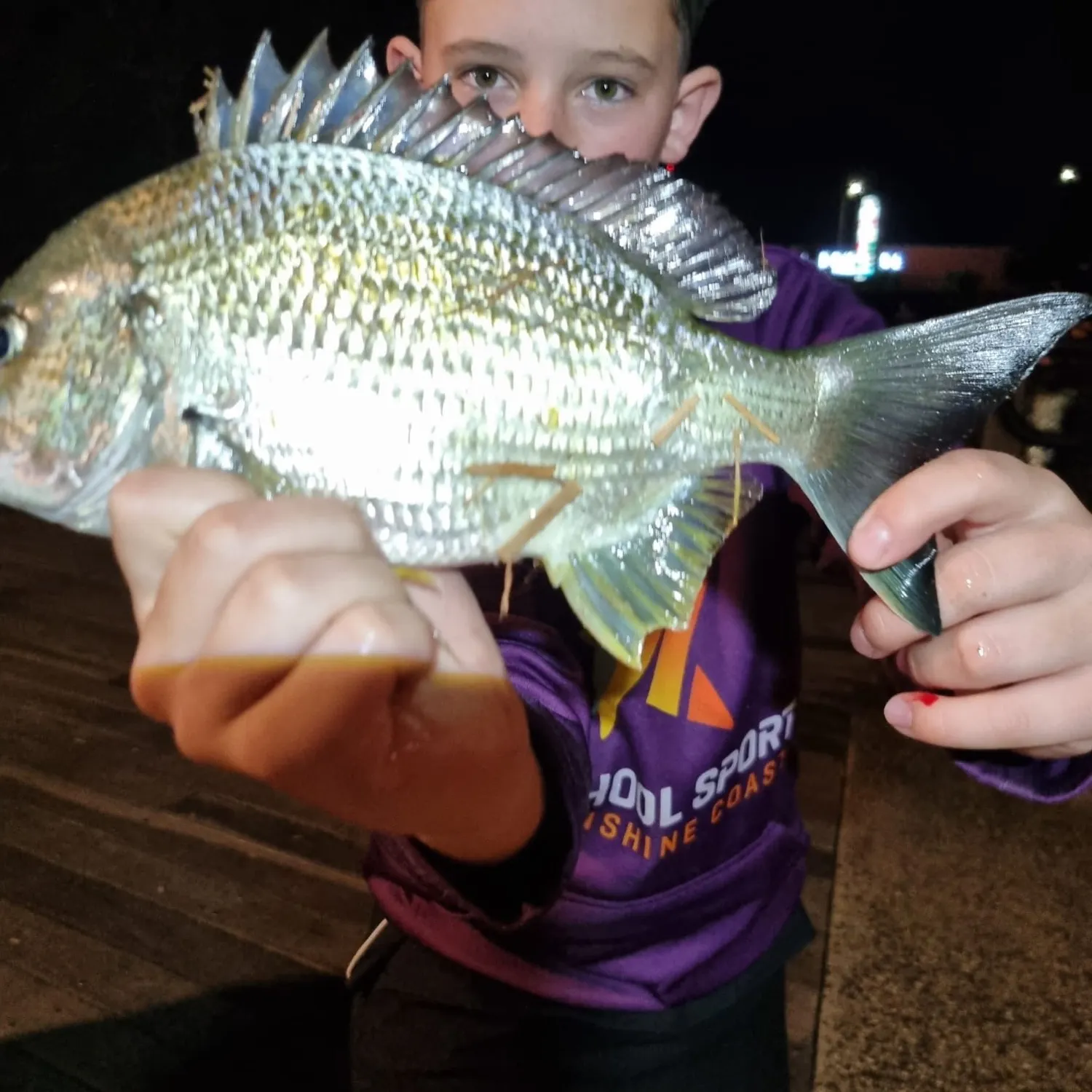 Surf bream caught on Fishbrain