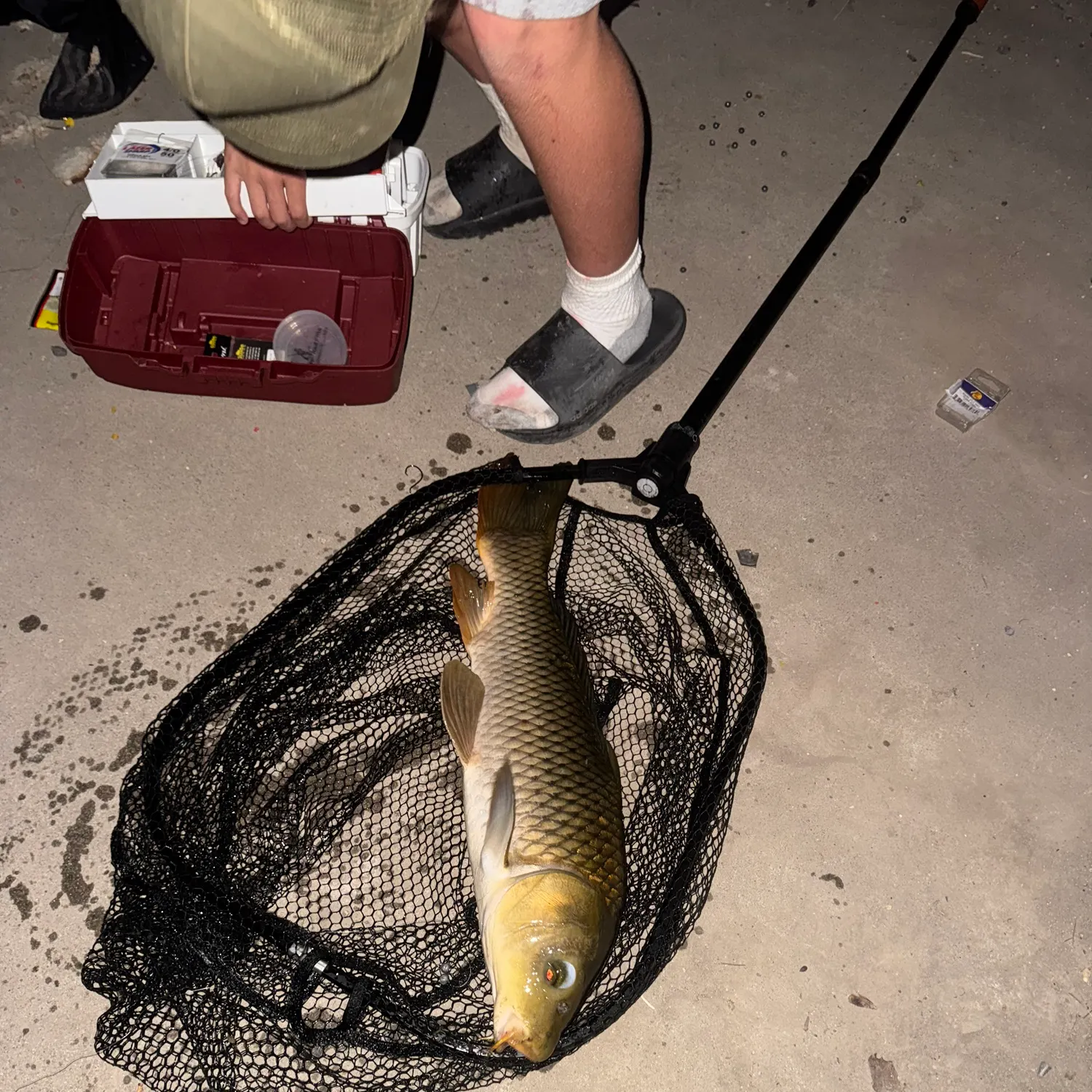 catch