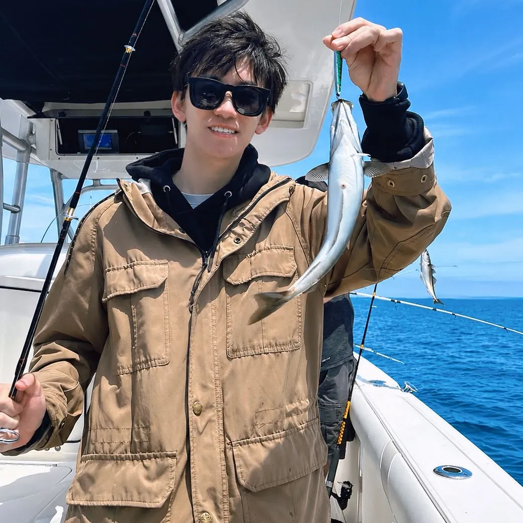 Atlantic pollock caught on Fishbrain