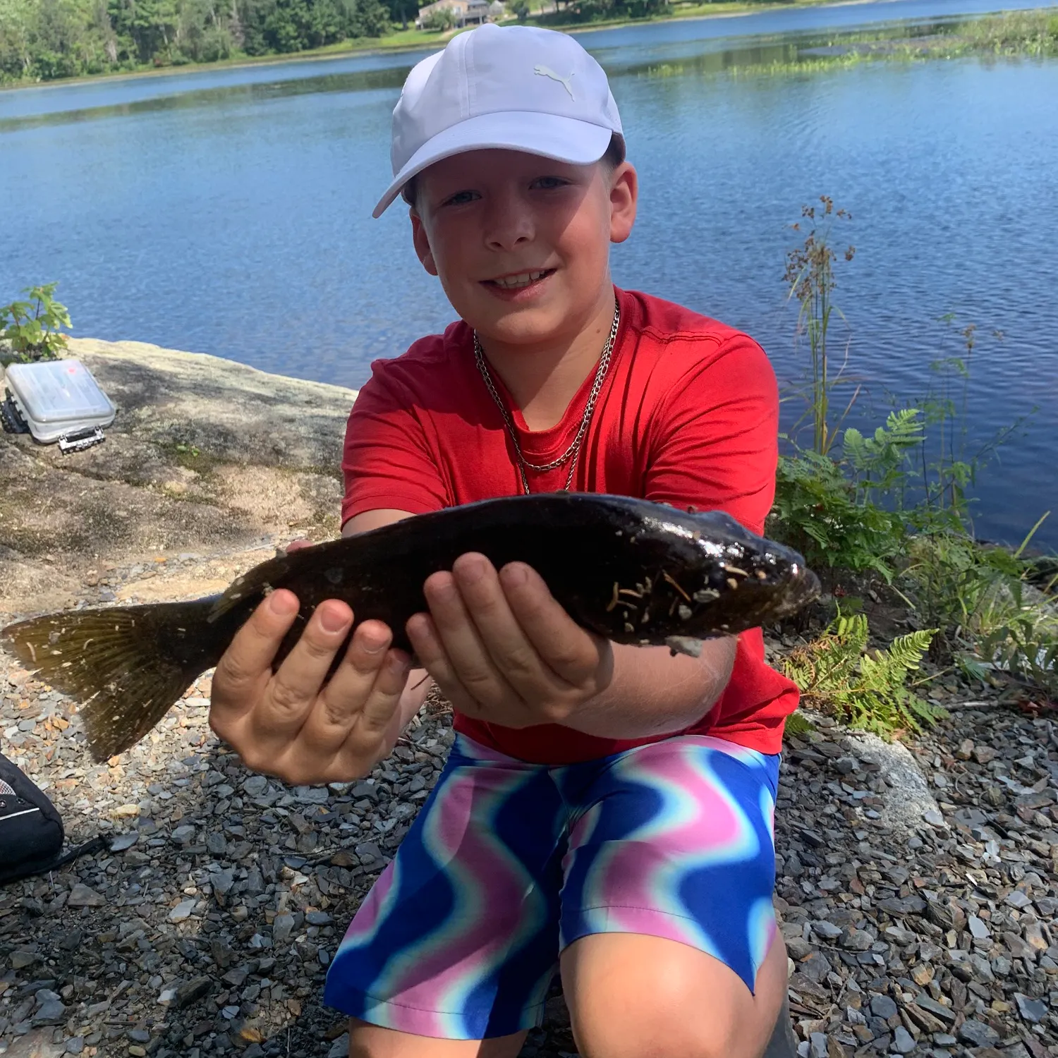 Smallmouth bass caught on Fishbrain