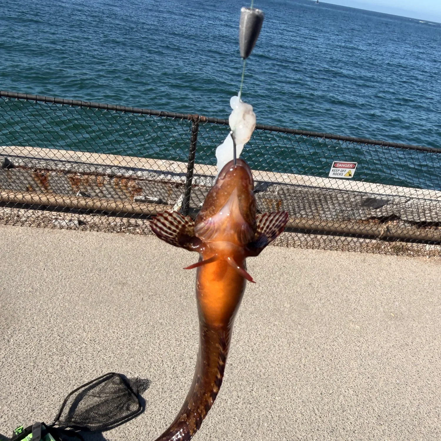 catch