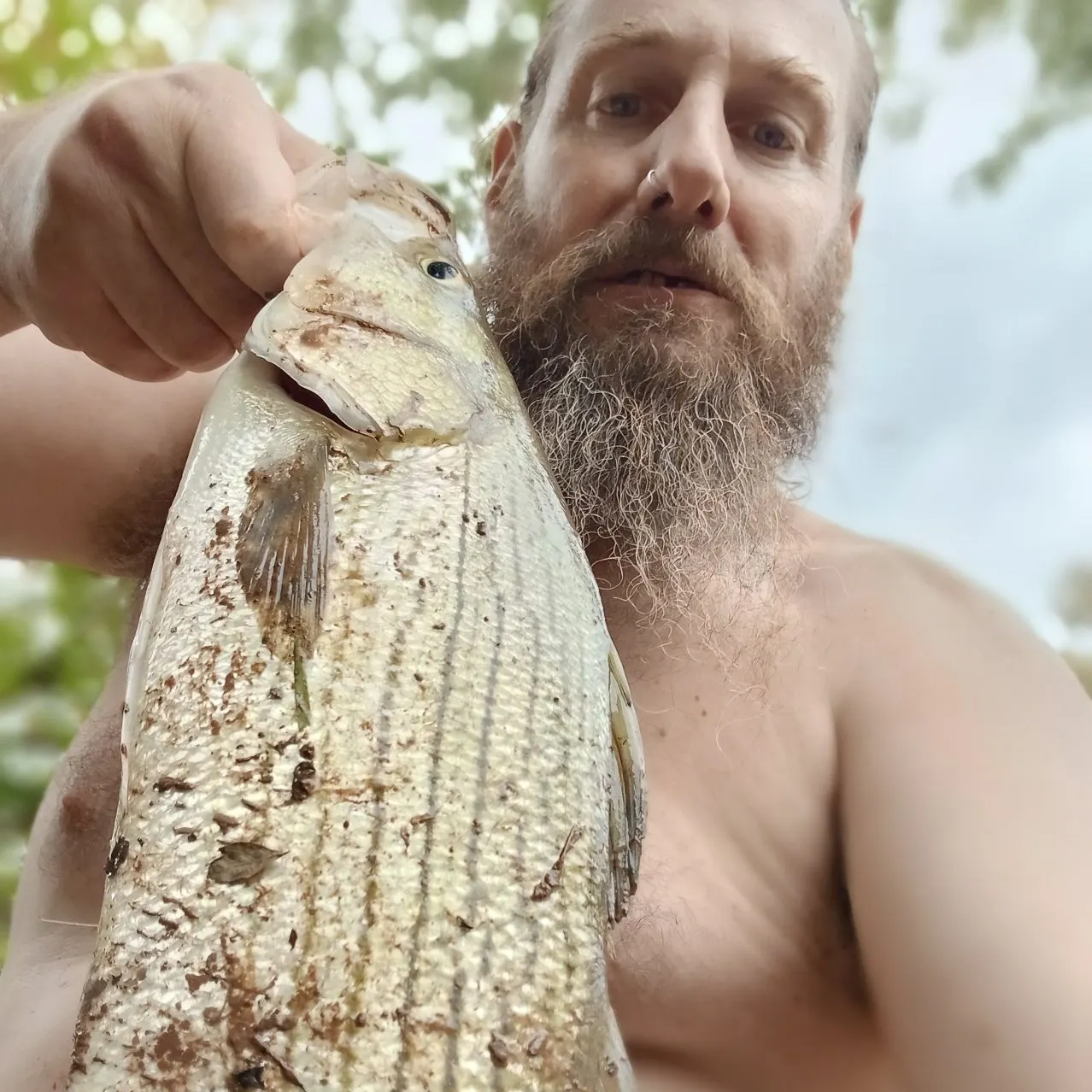 Wiper caught on Fishbrain