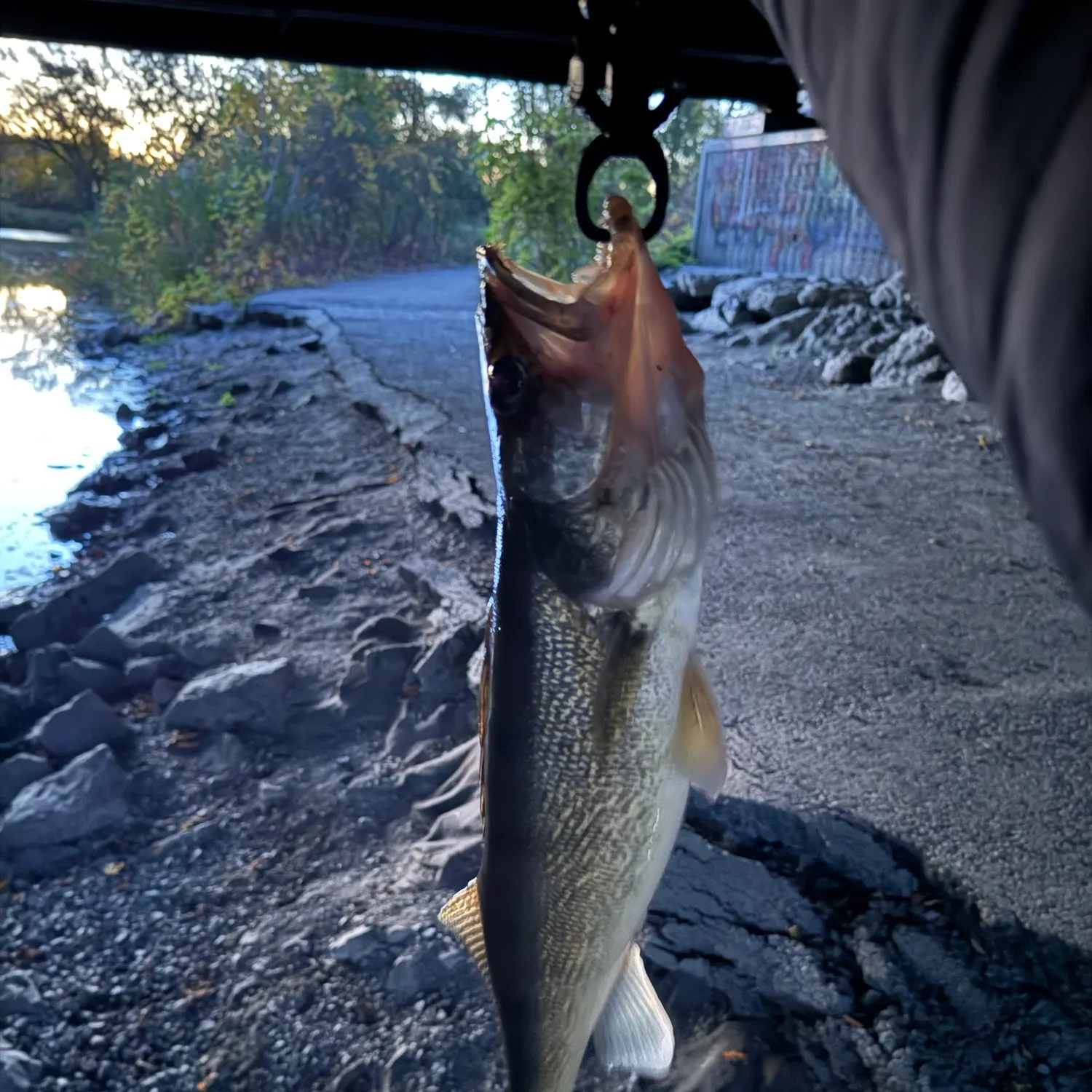 catch