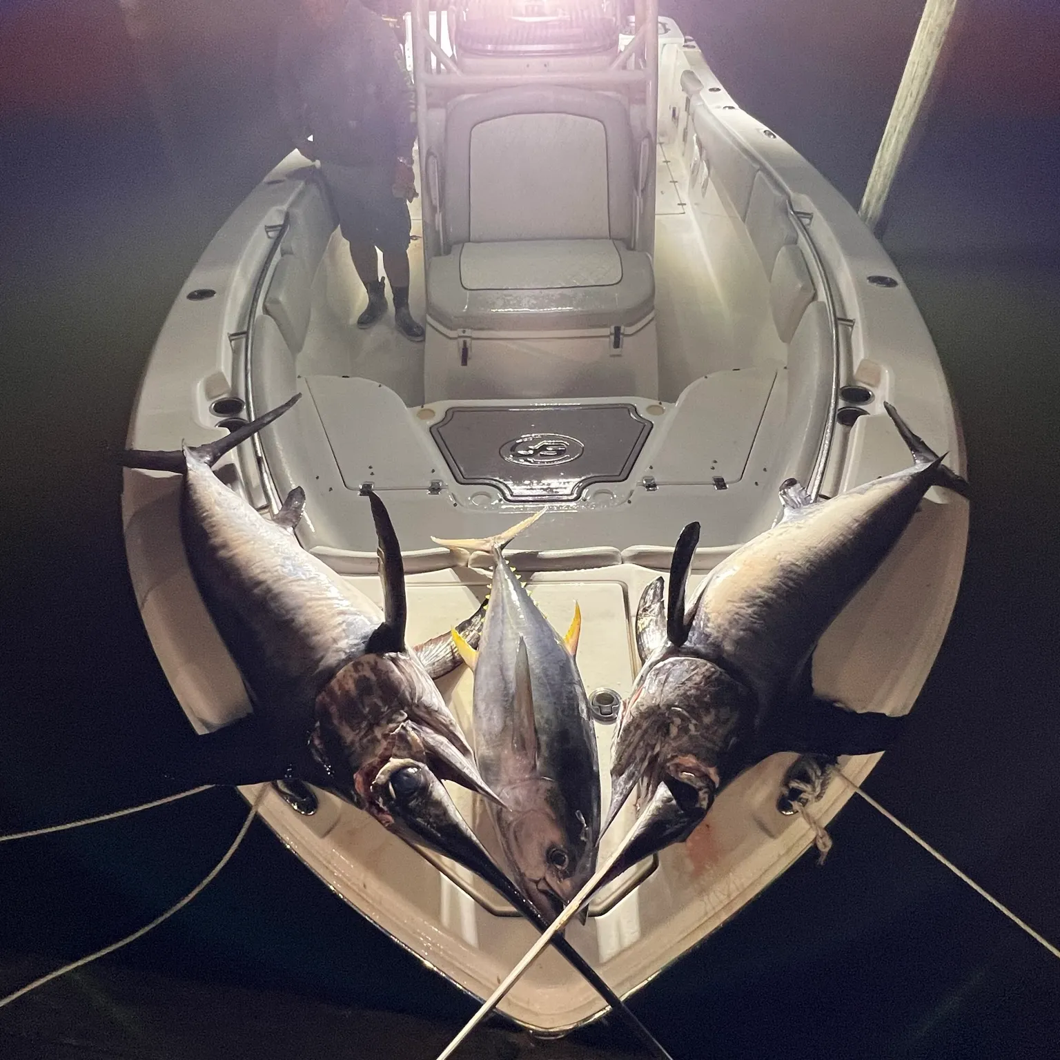 The most recent Swordfish catches on Fishbrain