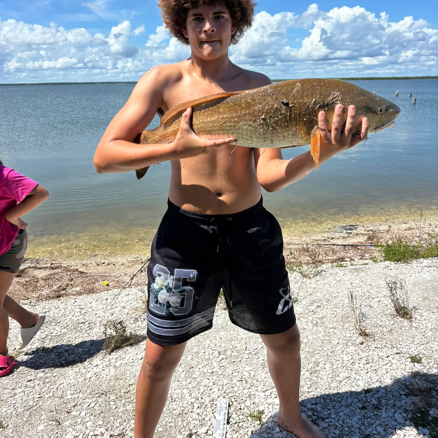 The most recent Red drum catches on Fishbrain