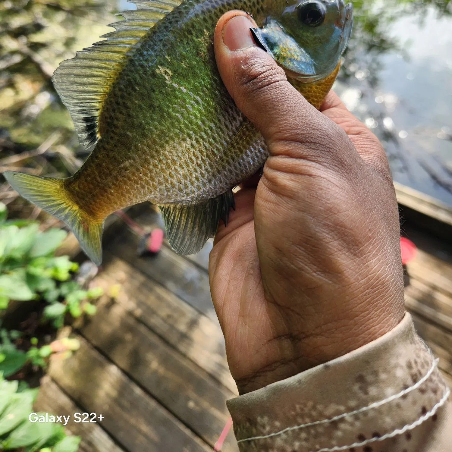 catch