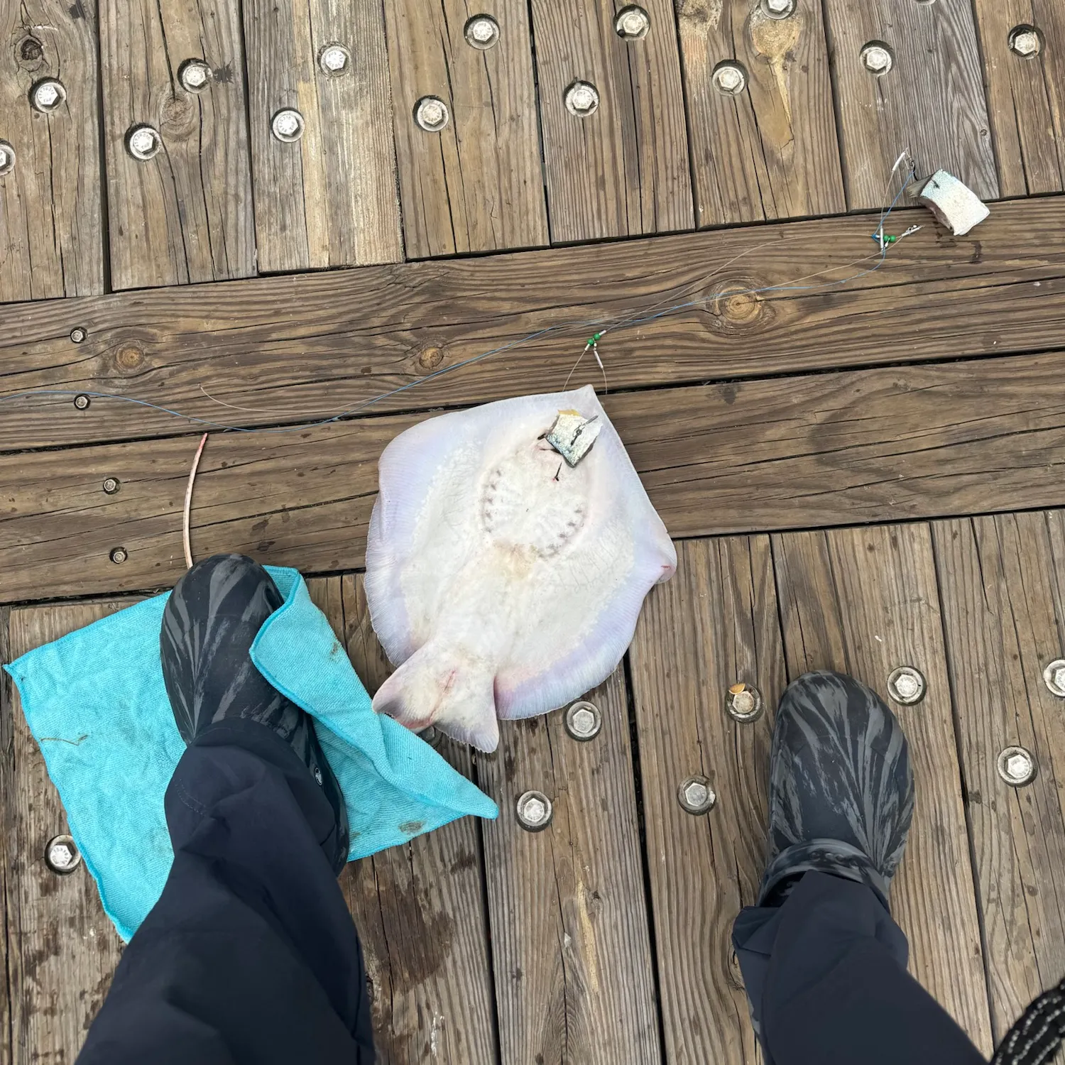 catch