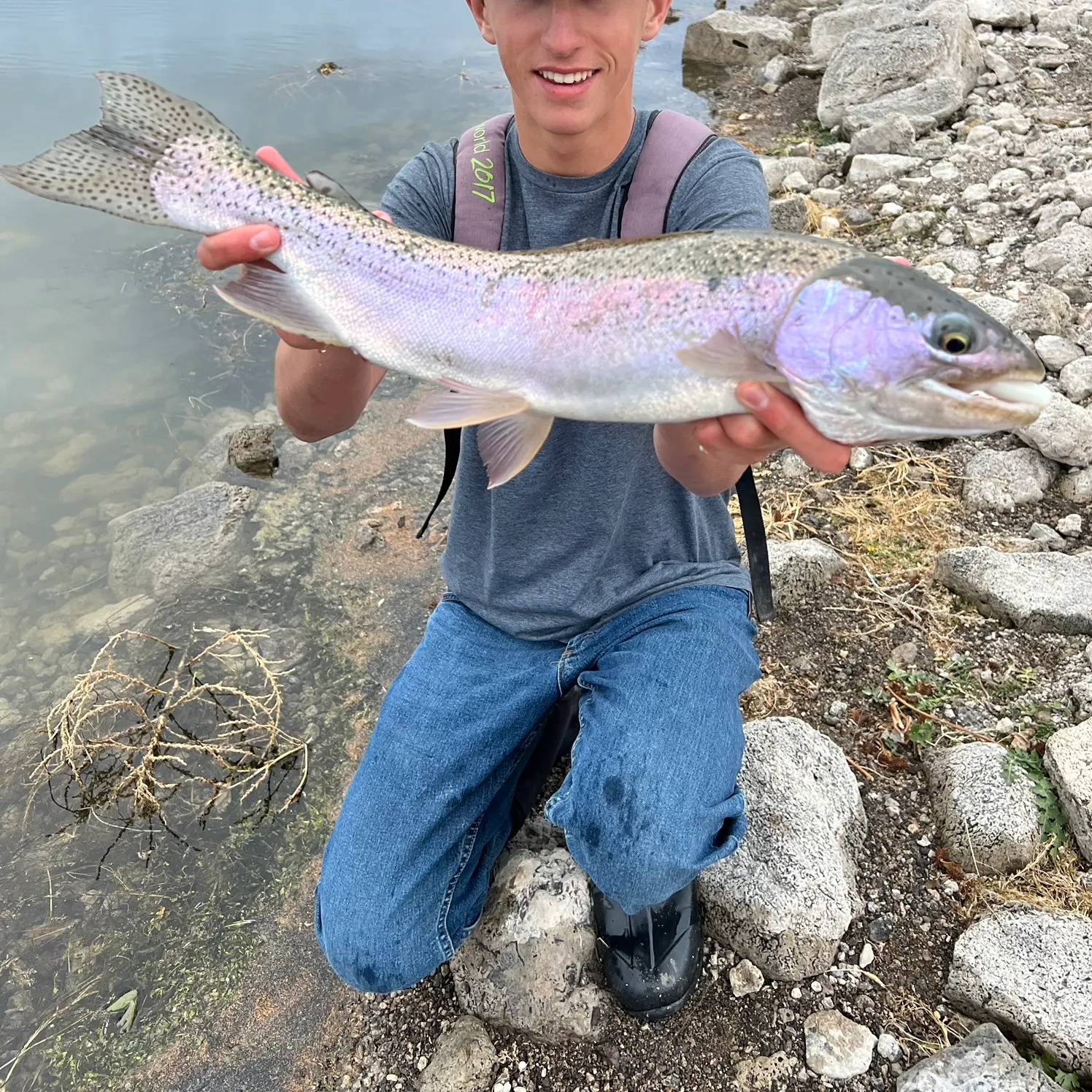 The most recent Rainbow trout catches on Fishbrain