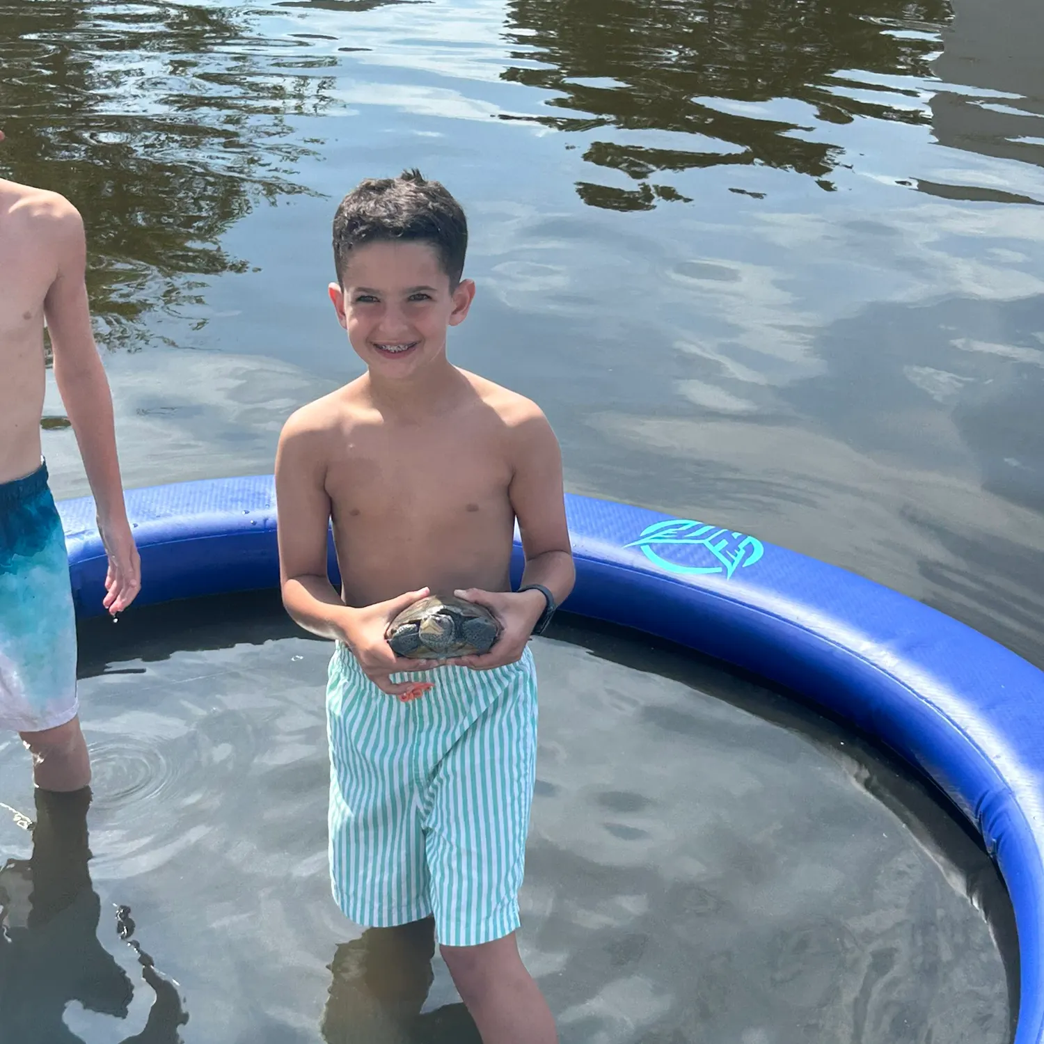The most recent Pond slider turtle catches on Fishbrain