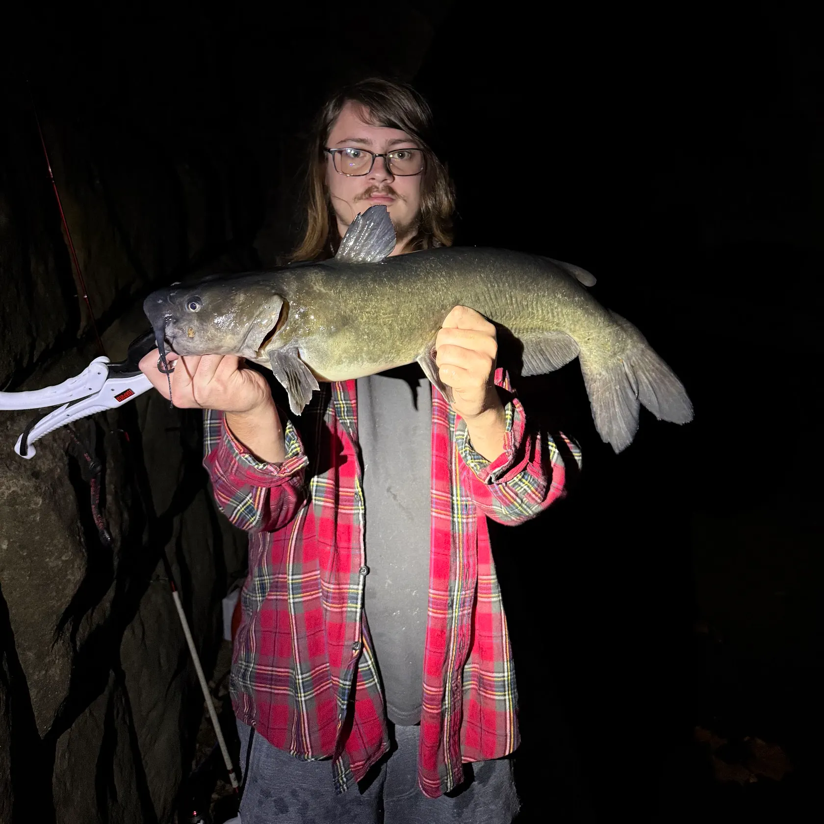 Channel catfish caught on Fishbrain