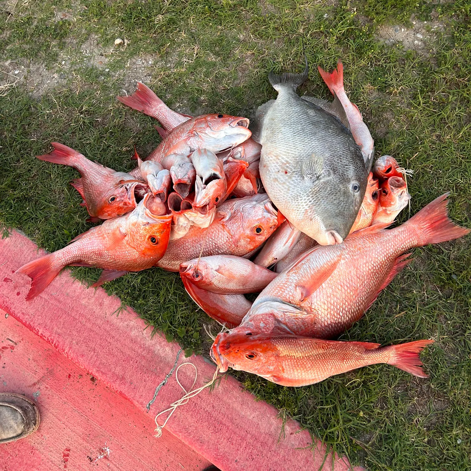 catch