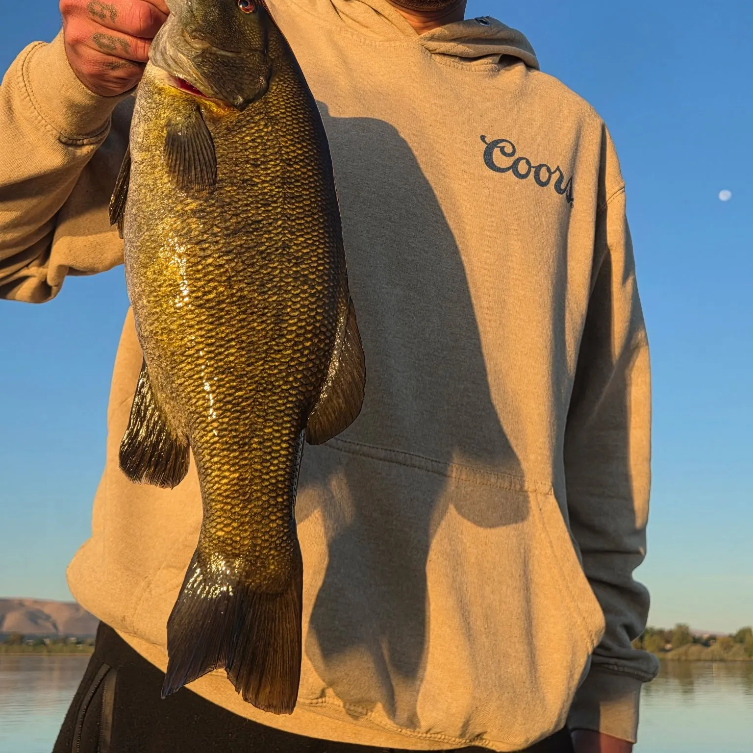 Smallmouth bass caught on Fishbrain