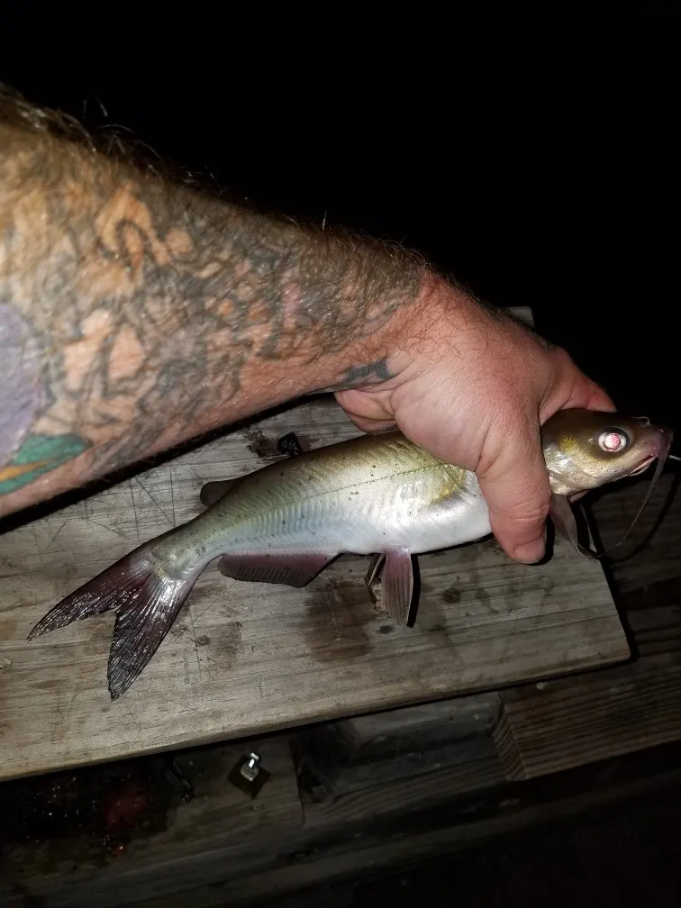 Post image from Jptat2artist