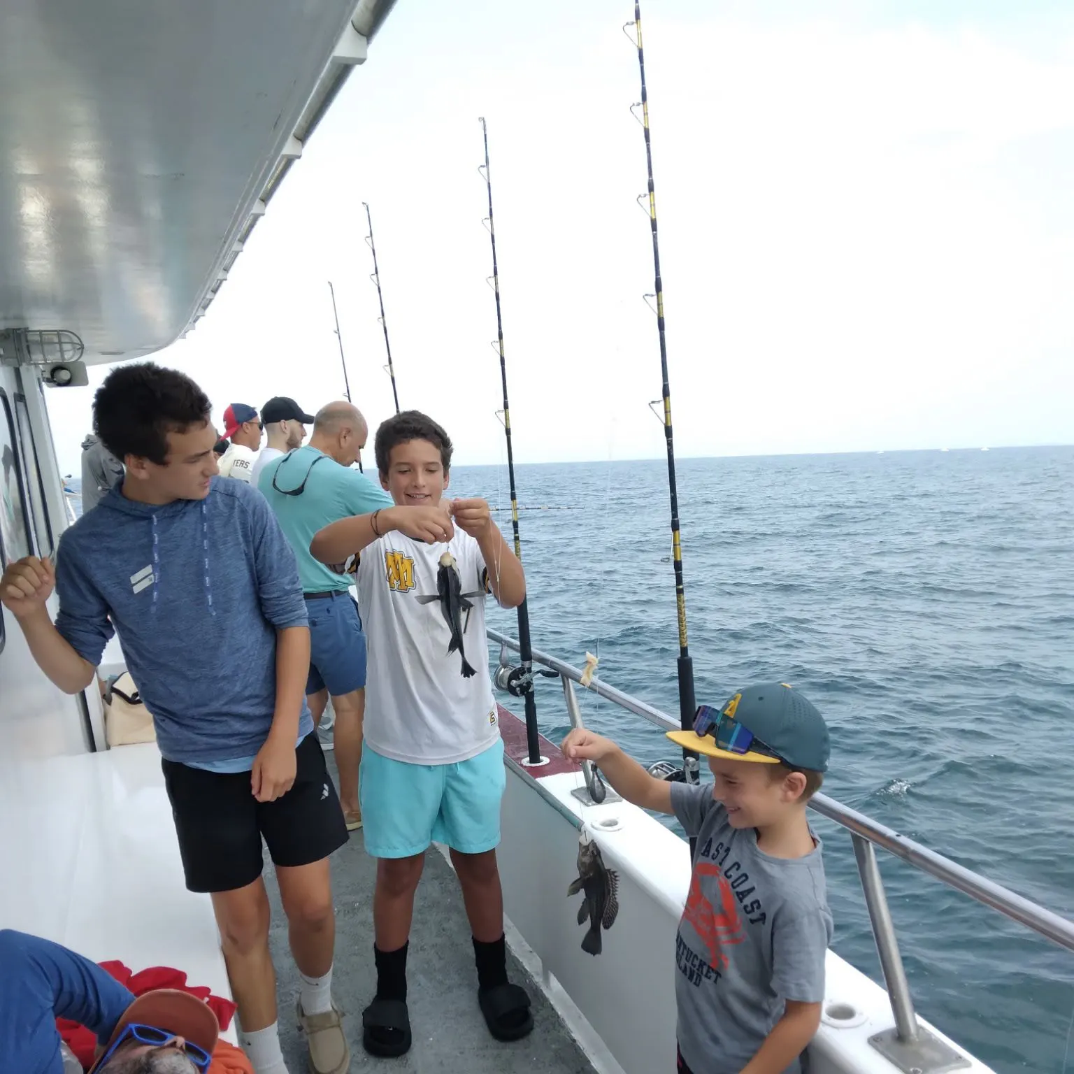 Black sea bass caught on Fishbrain