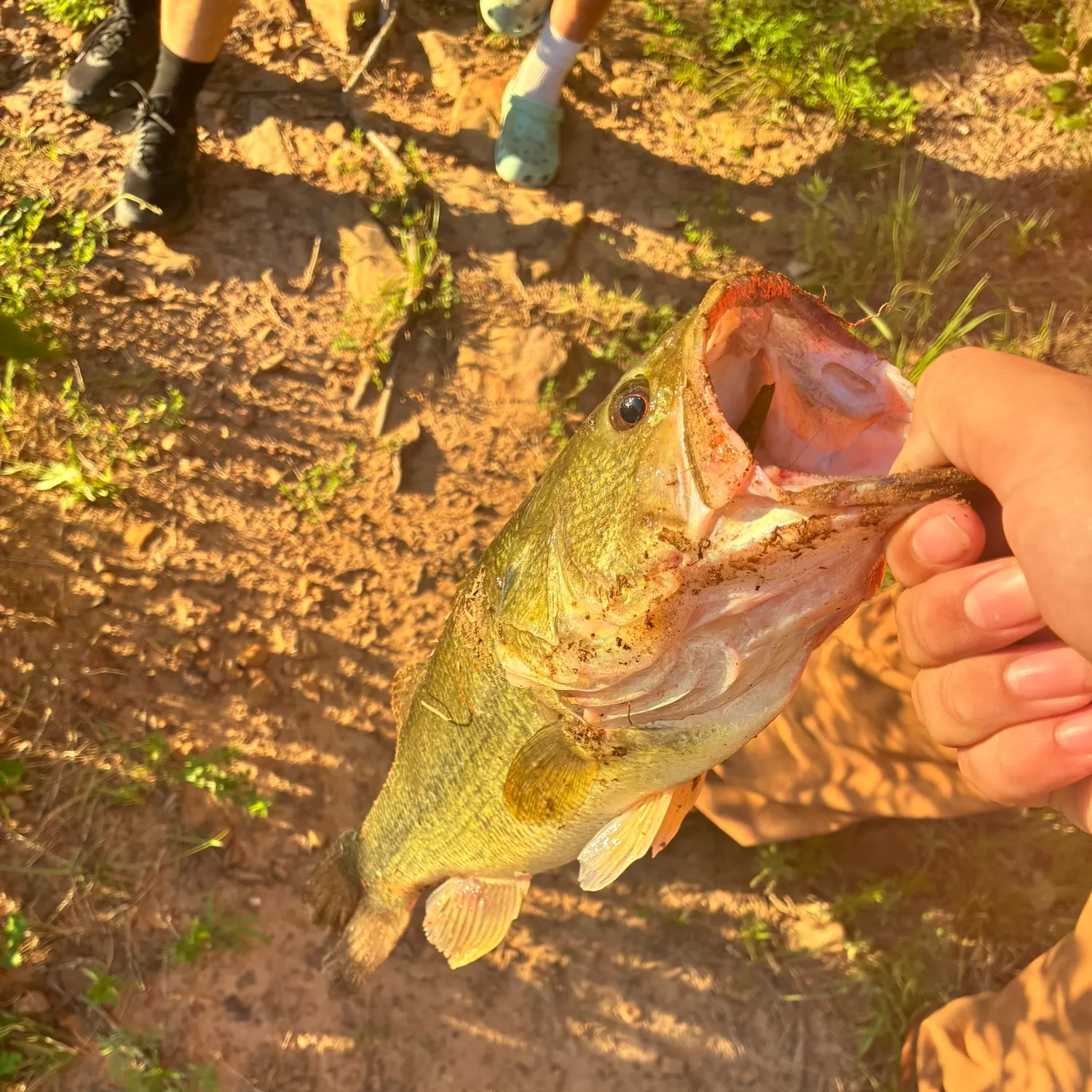 catch