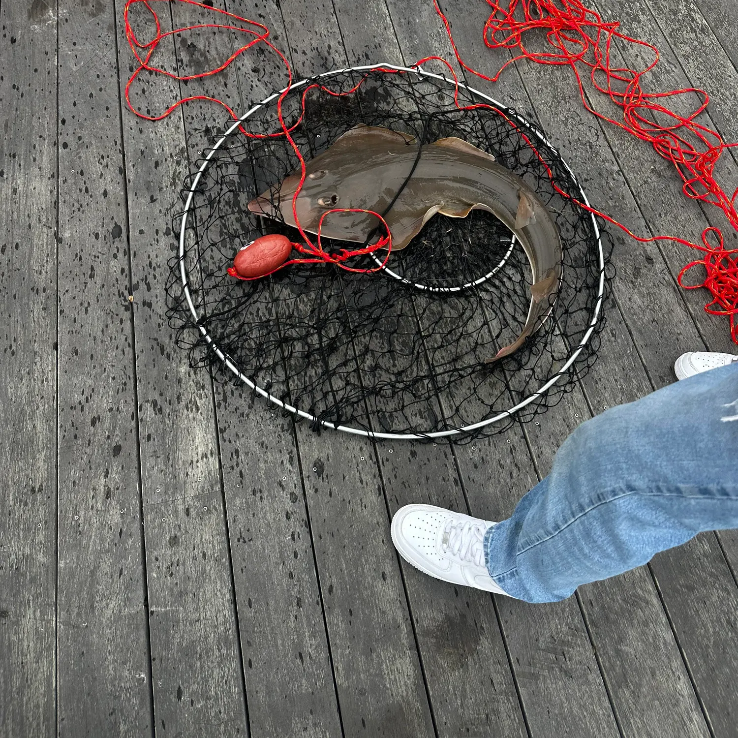 catch