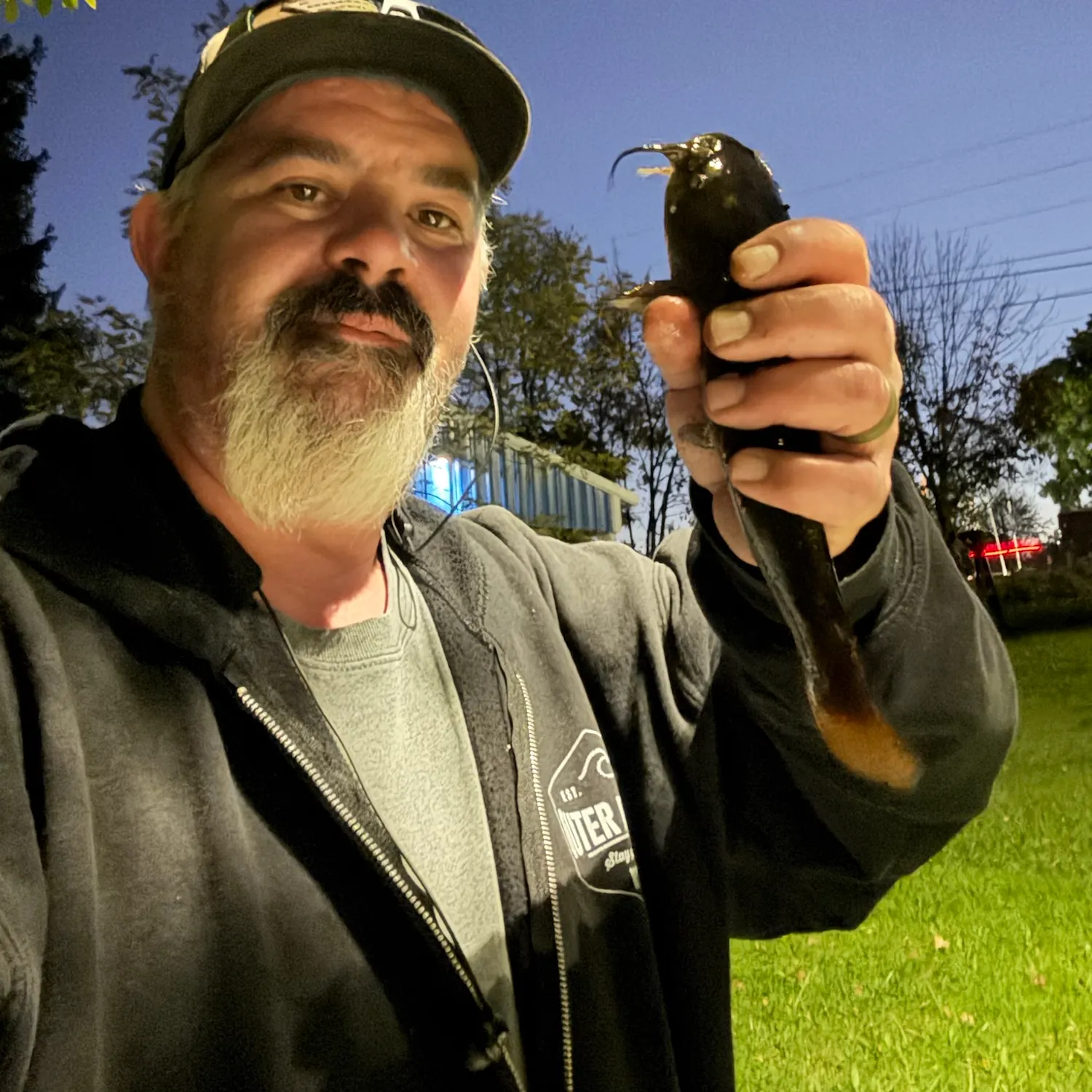 Black bullhead caught on Fishbrain