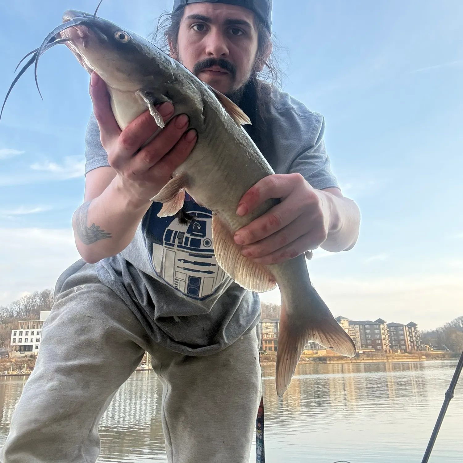 The most recent Channel catfish catches on Fishbrain