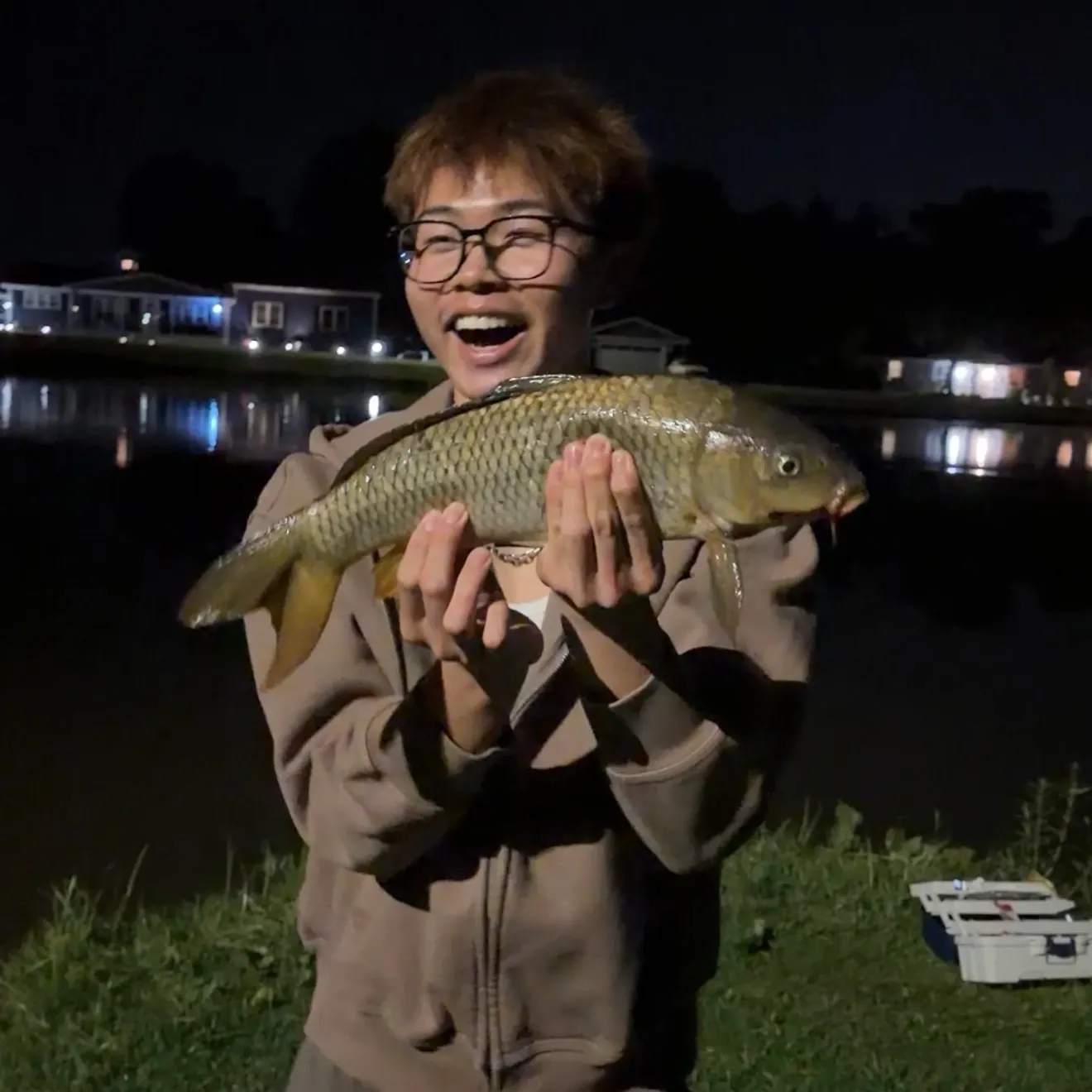 Common carp caught on Fishbrain