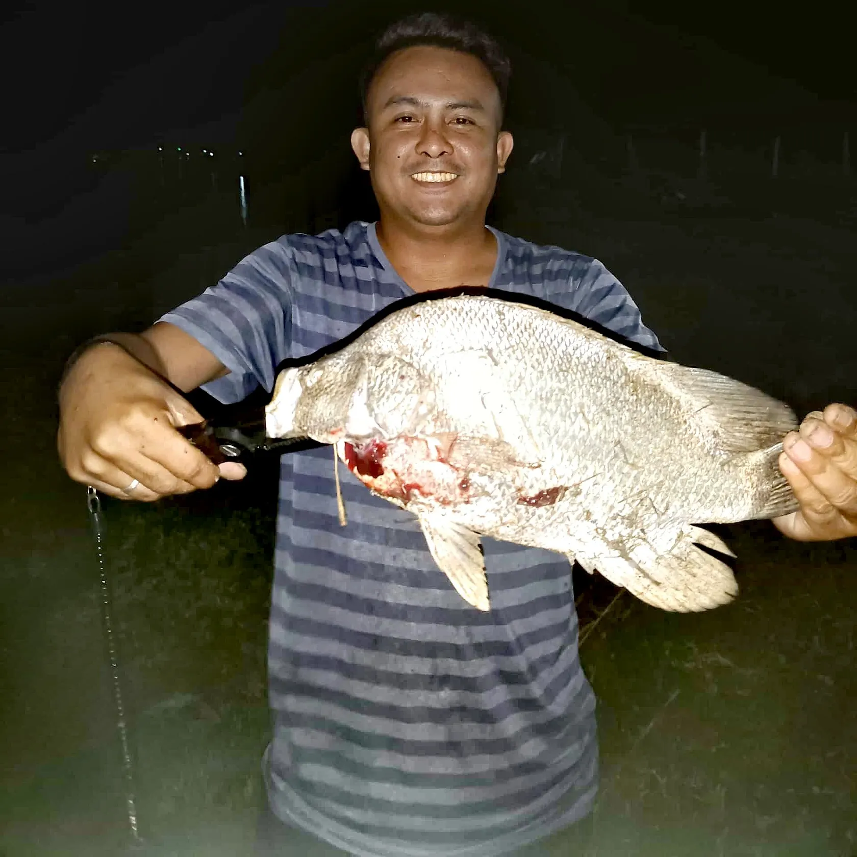 The most recent Atlantic tripletail catches on Fishbrain