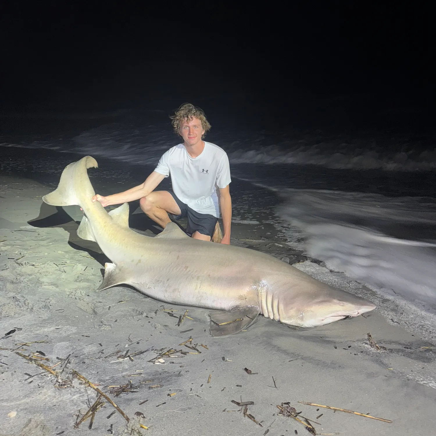 The most recent Sand tiger shark catches on Fishbrain
