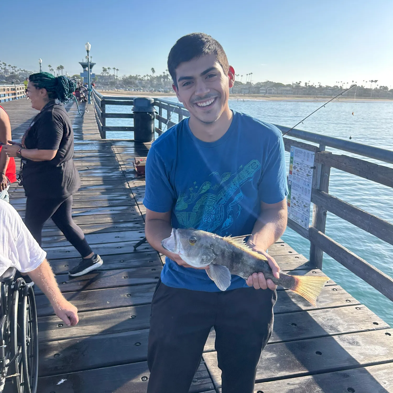 Barred sand bass caught on Fishbrain